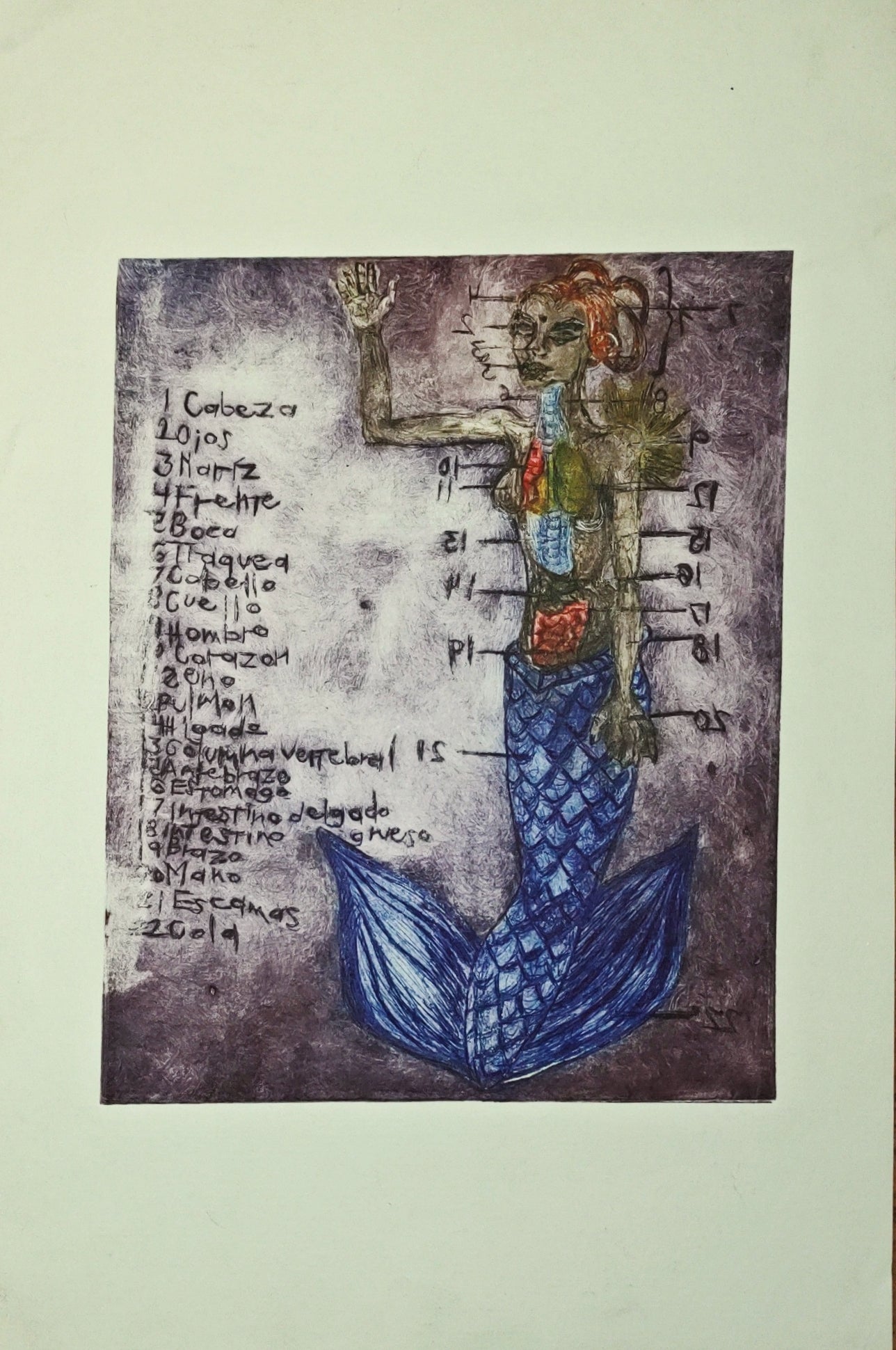 "Sirena"