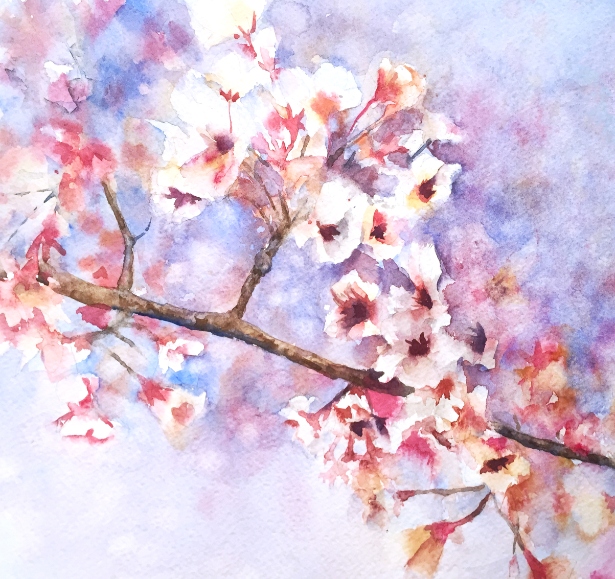 Primavera