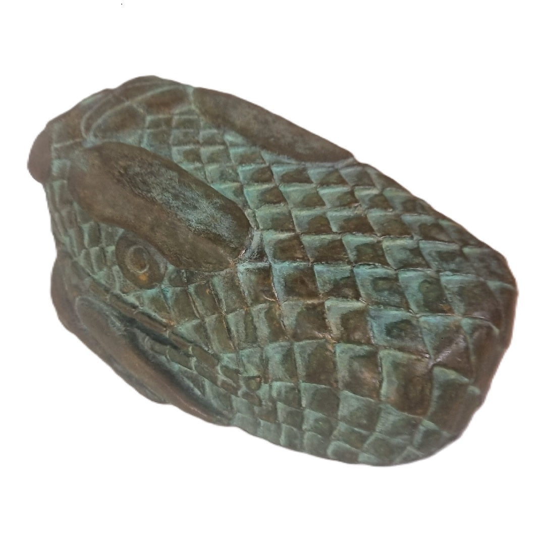 Cabeza de serpiente