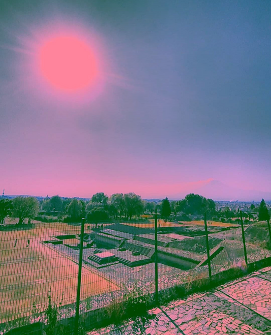 "Sol Rosa"