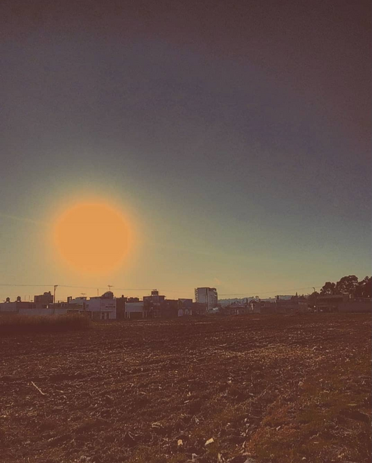 "Sol Amarillo"