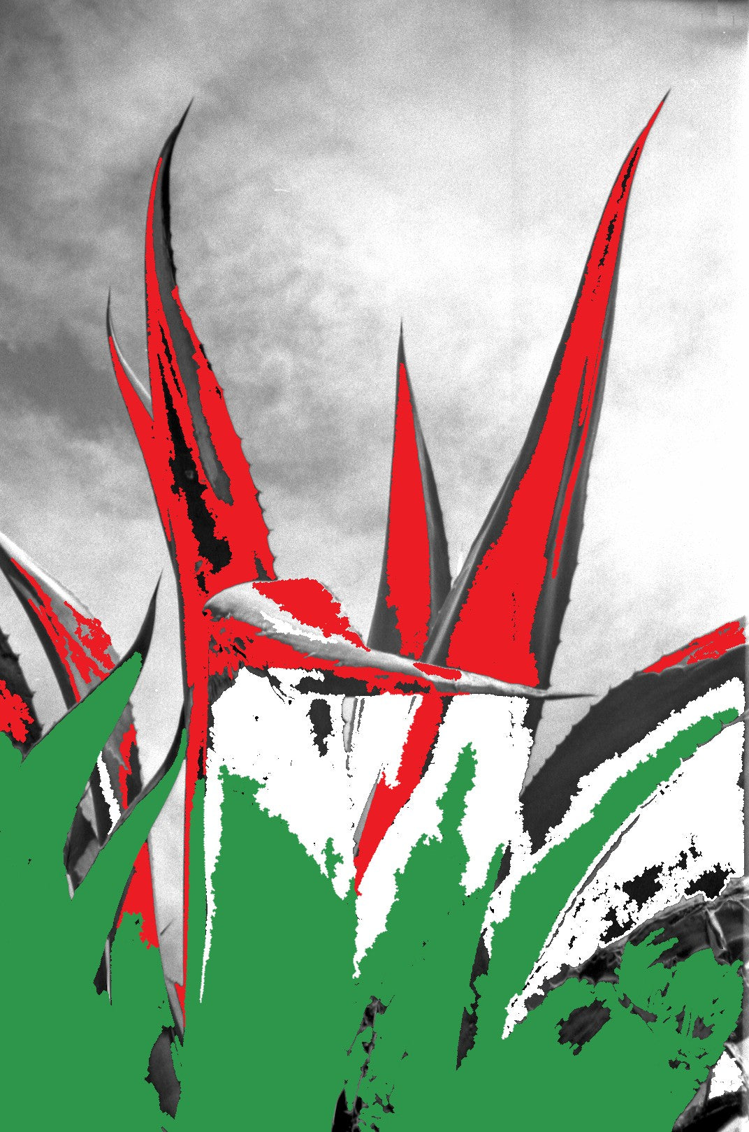 TRICOLOR