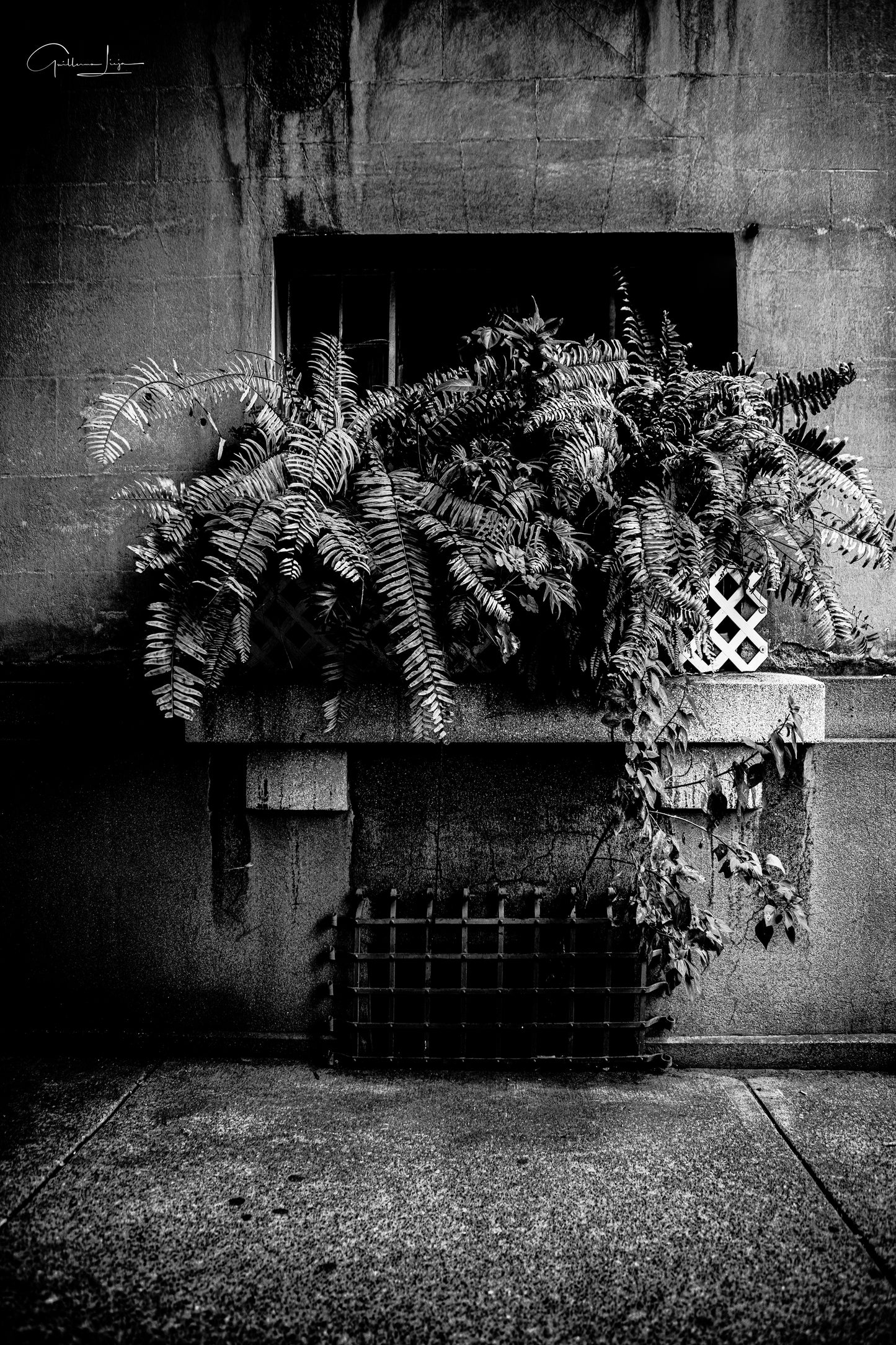 URBAN WINDOW