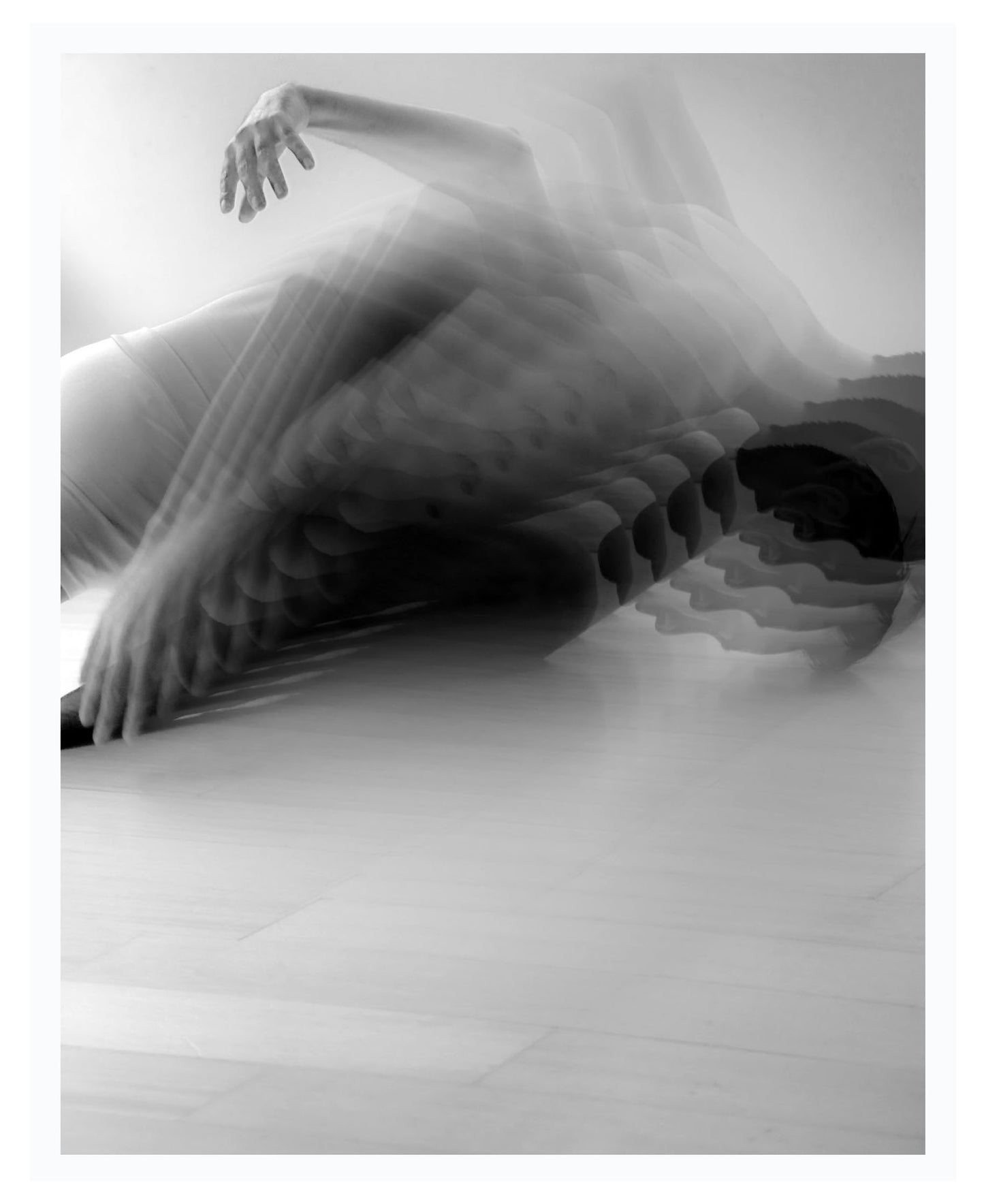 Vuelo