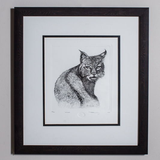 "Mirada"