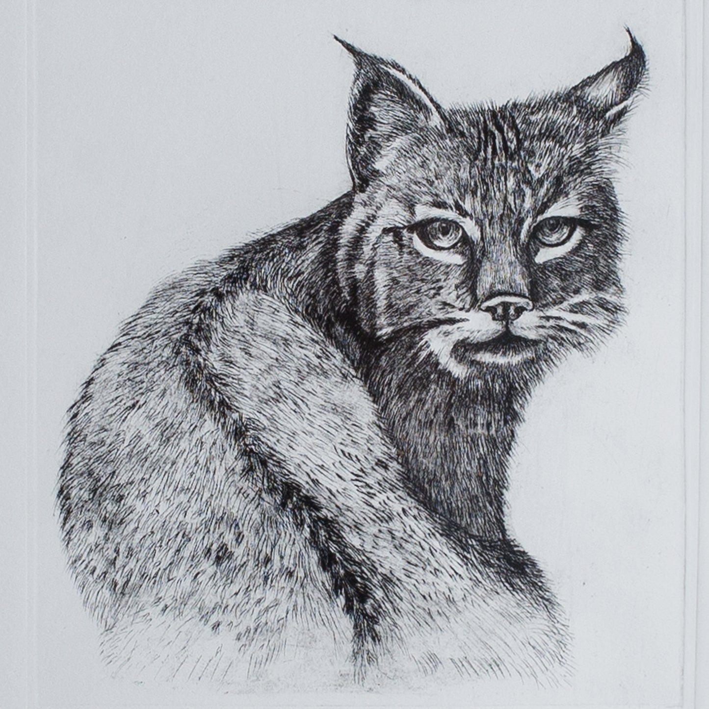 "Mirada"