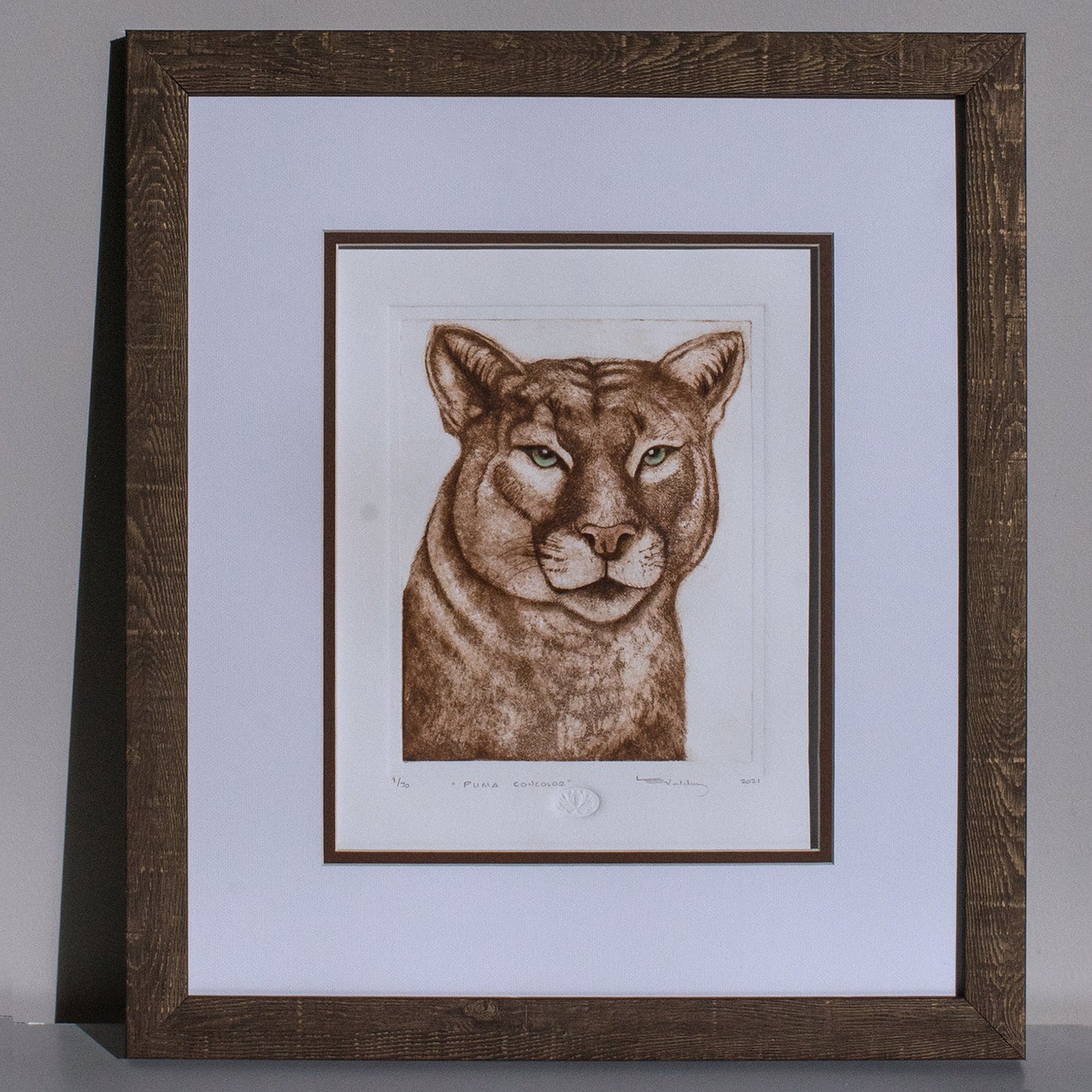 "PUMA CONCOLOR"