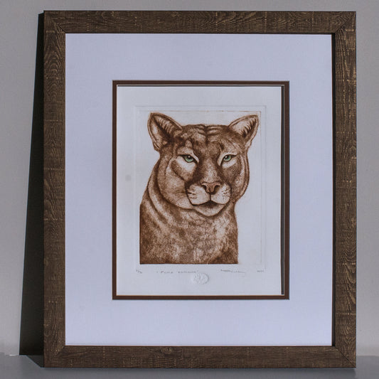 "PUMA CONCOLOR"