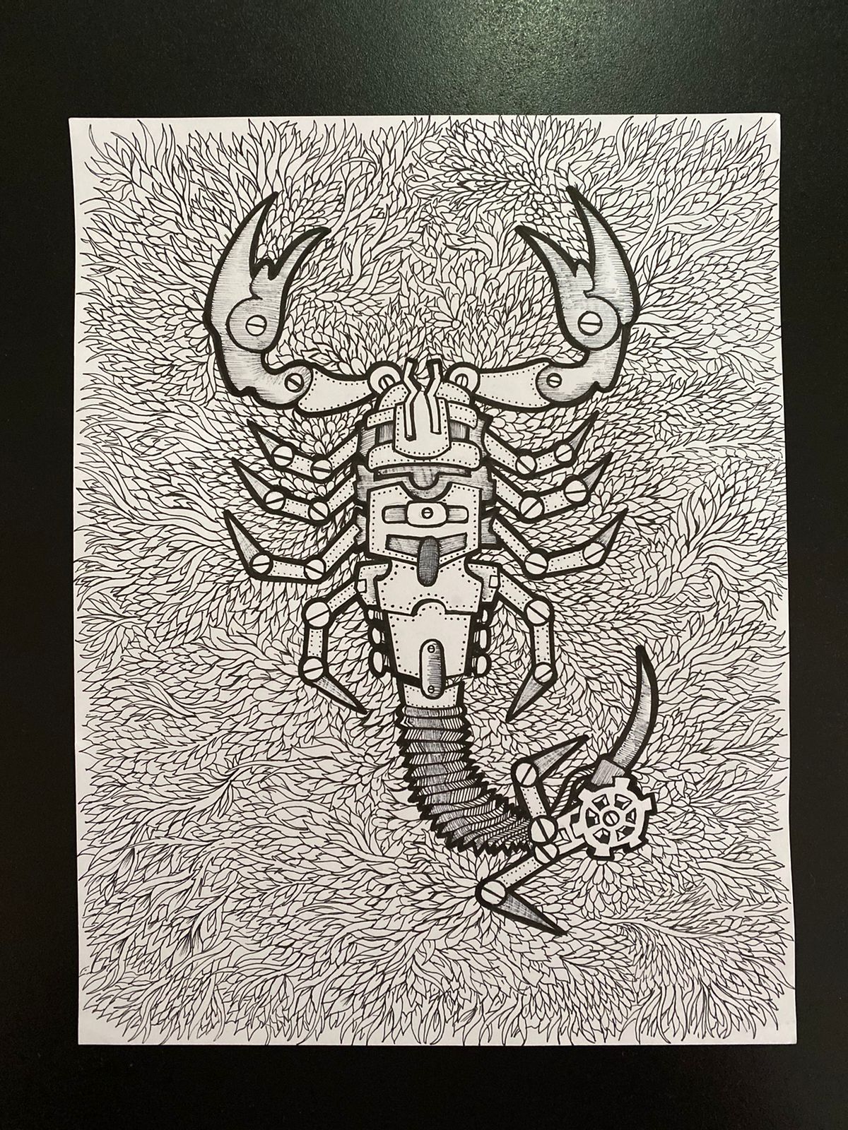 Ilustraciones tradicionales