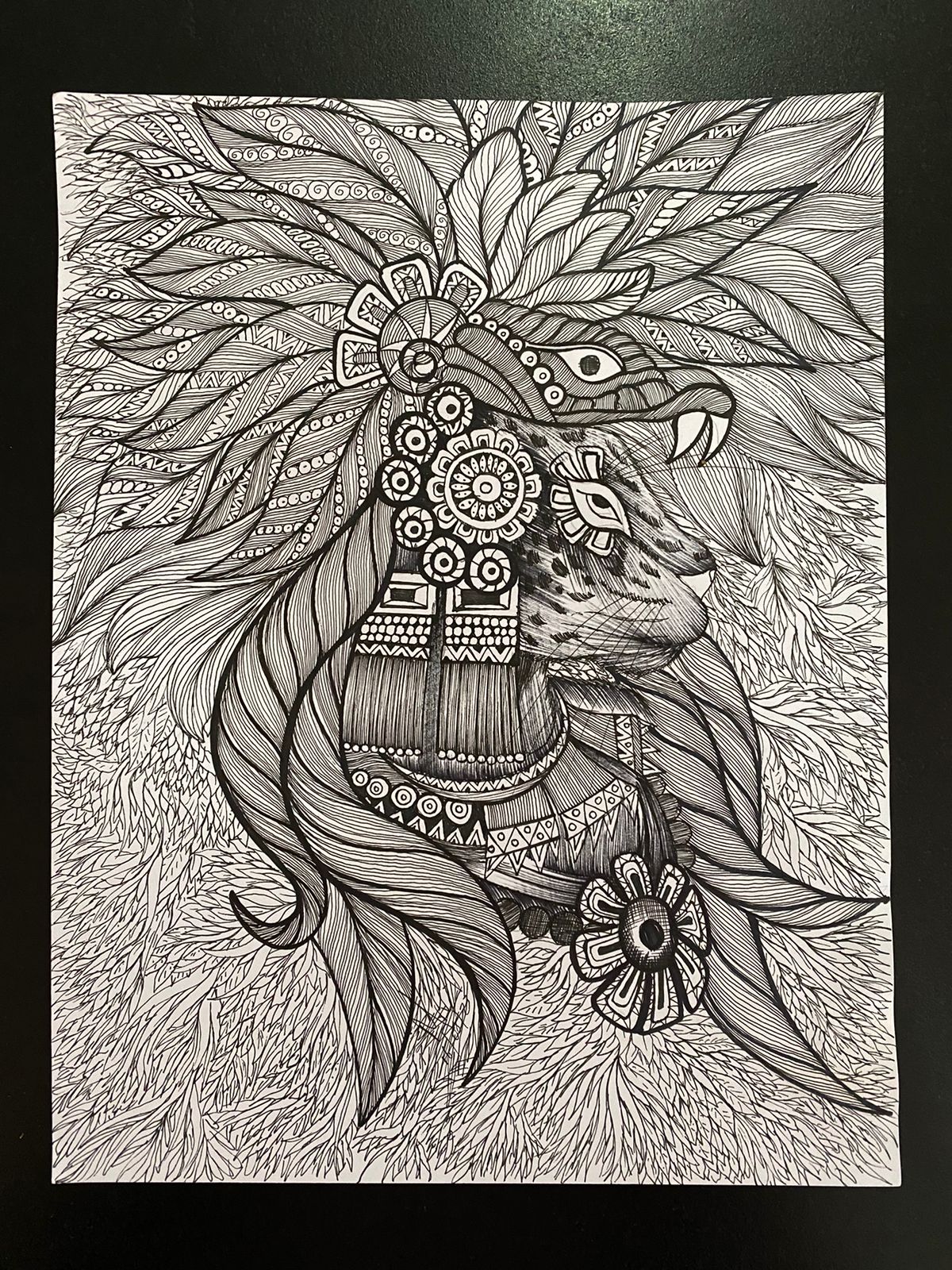 Ilustraciones tradicionales