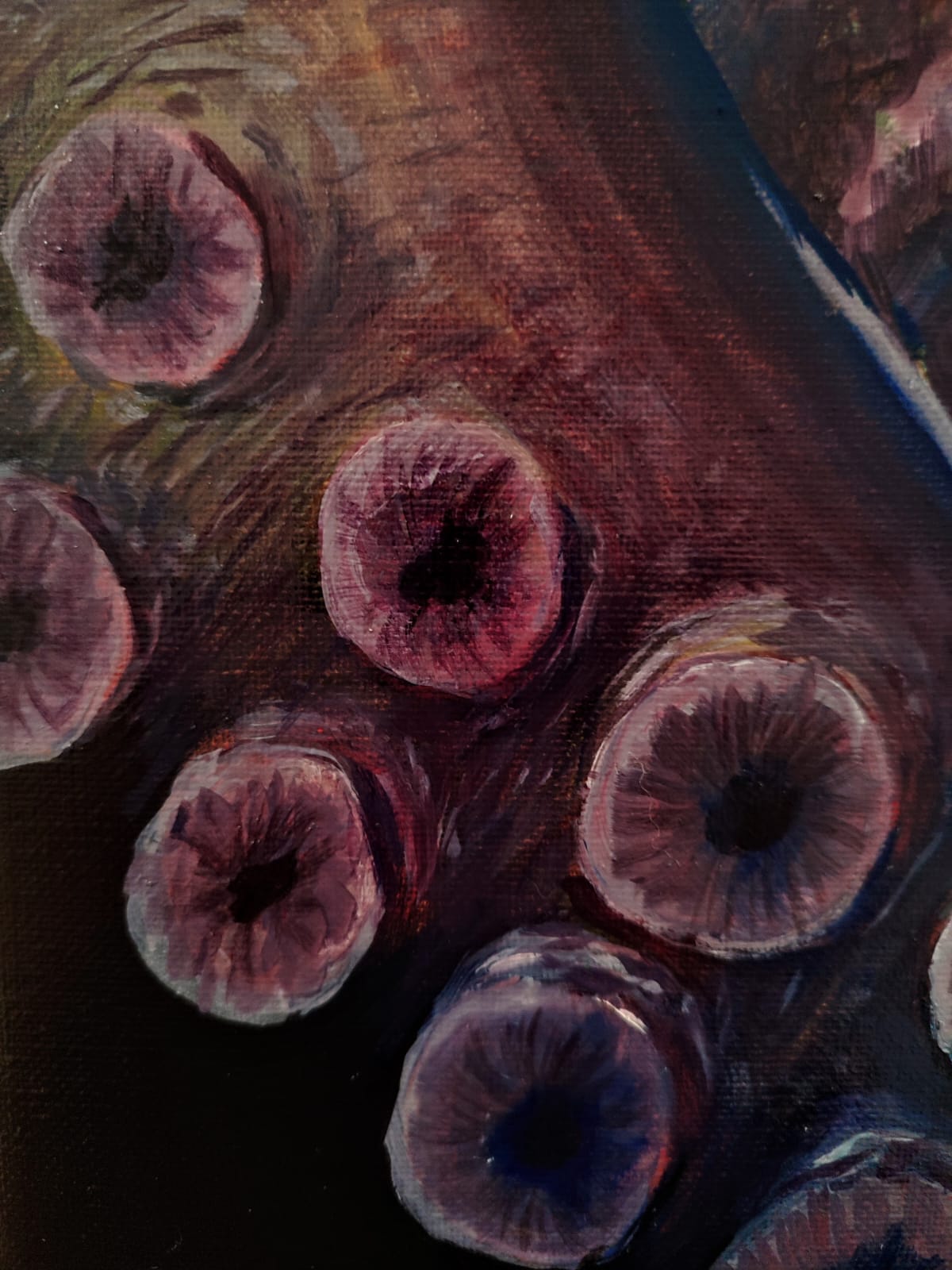 Pulpo II