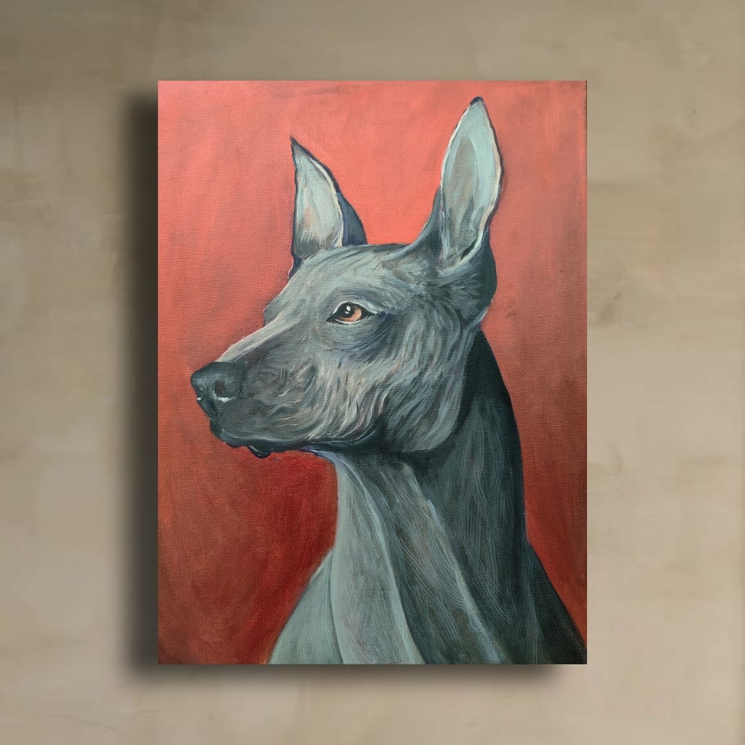 Xoloitzcuintle VENDIDO