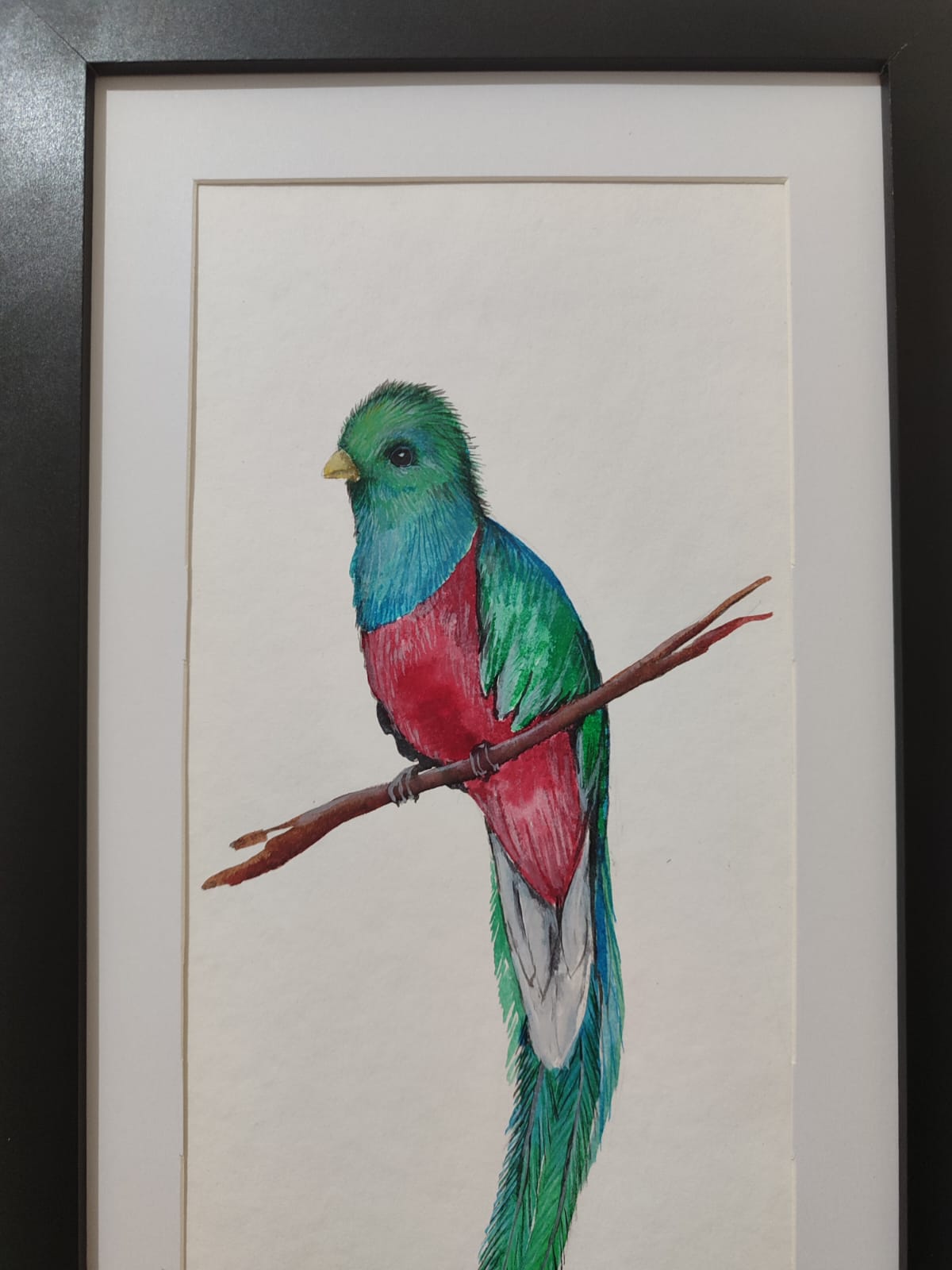 Quetzal