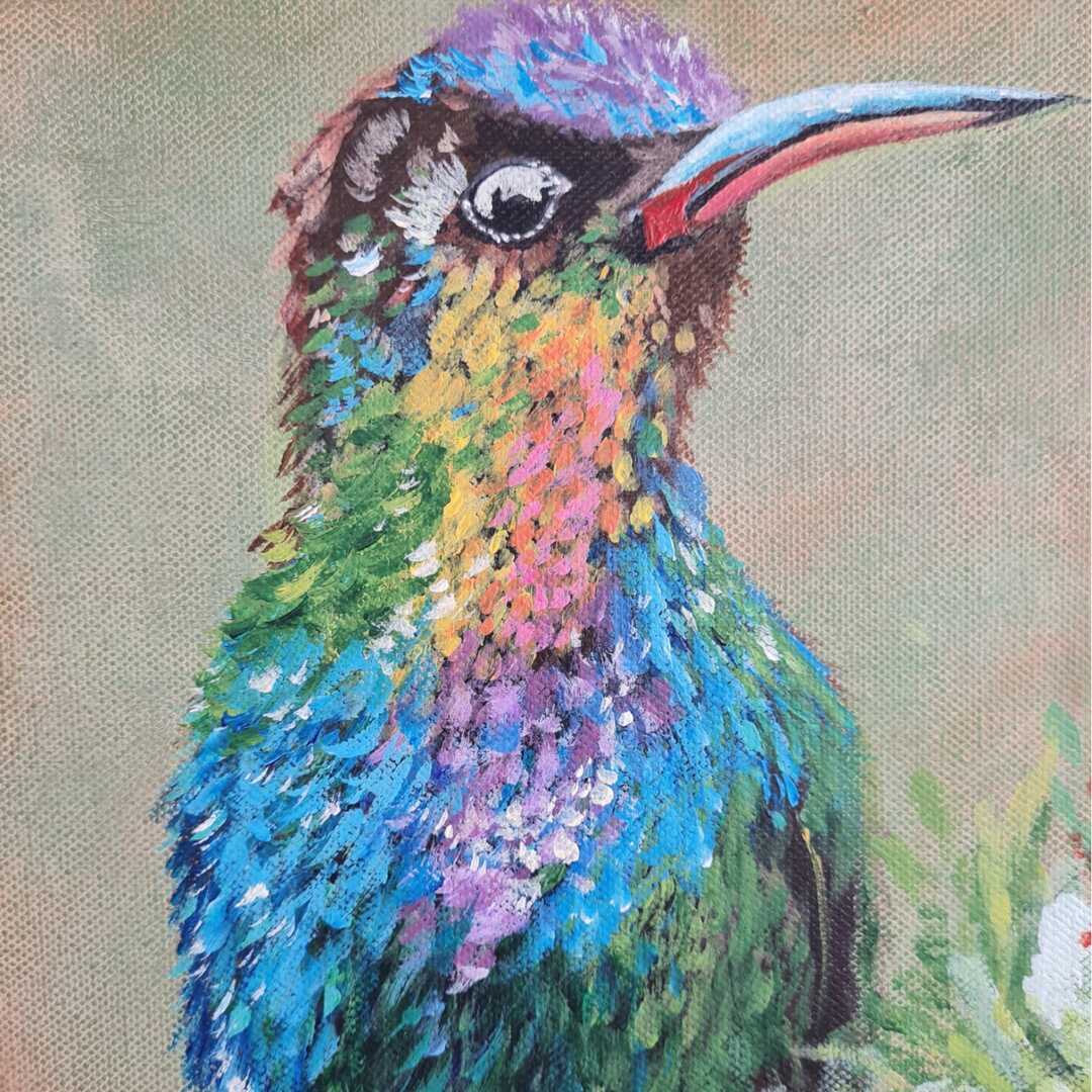 Colibrí