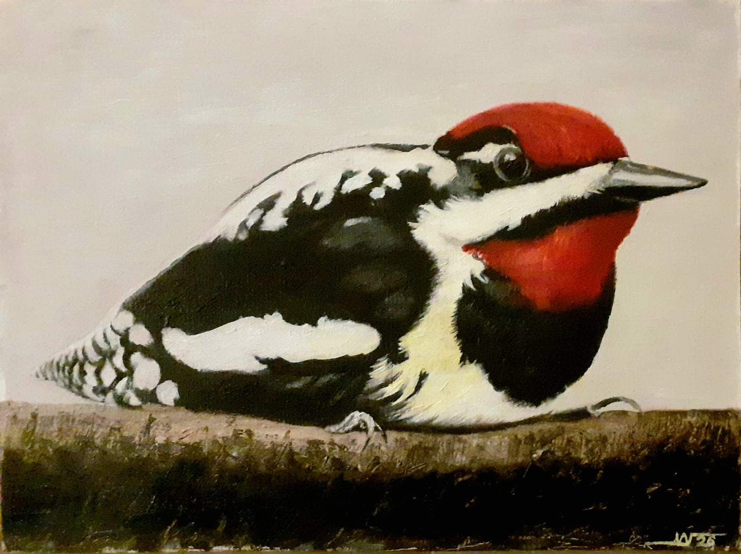 Arte al Óleo - Carpintero