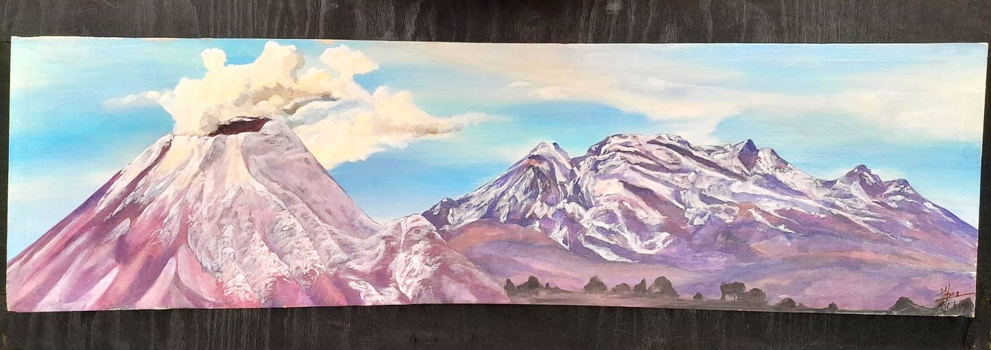 Arte Contemporáneo - Entre fuego y nieve