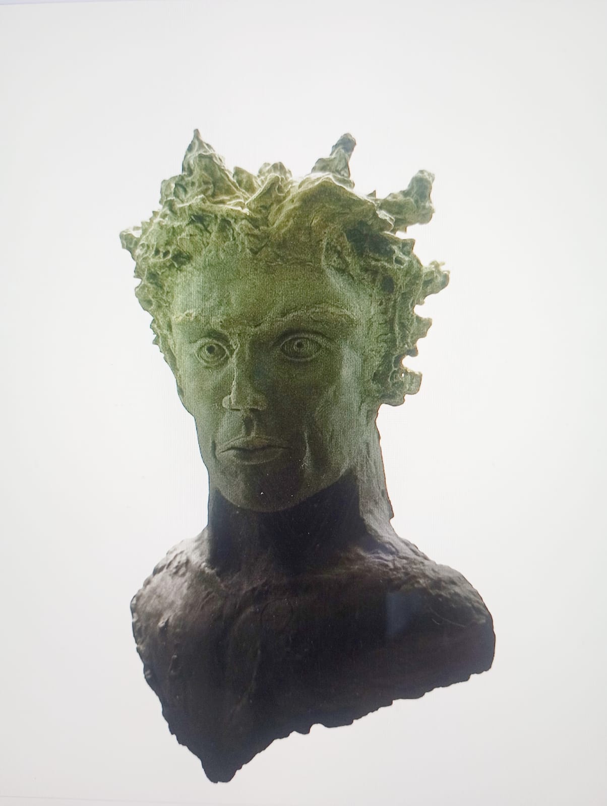 VIGILANTE BRONCE