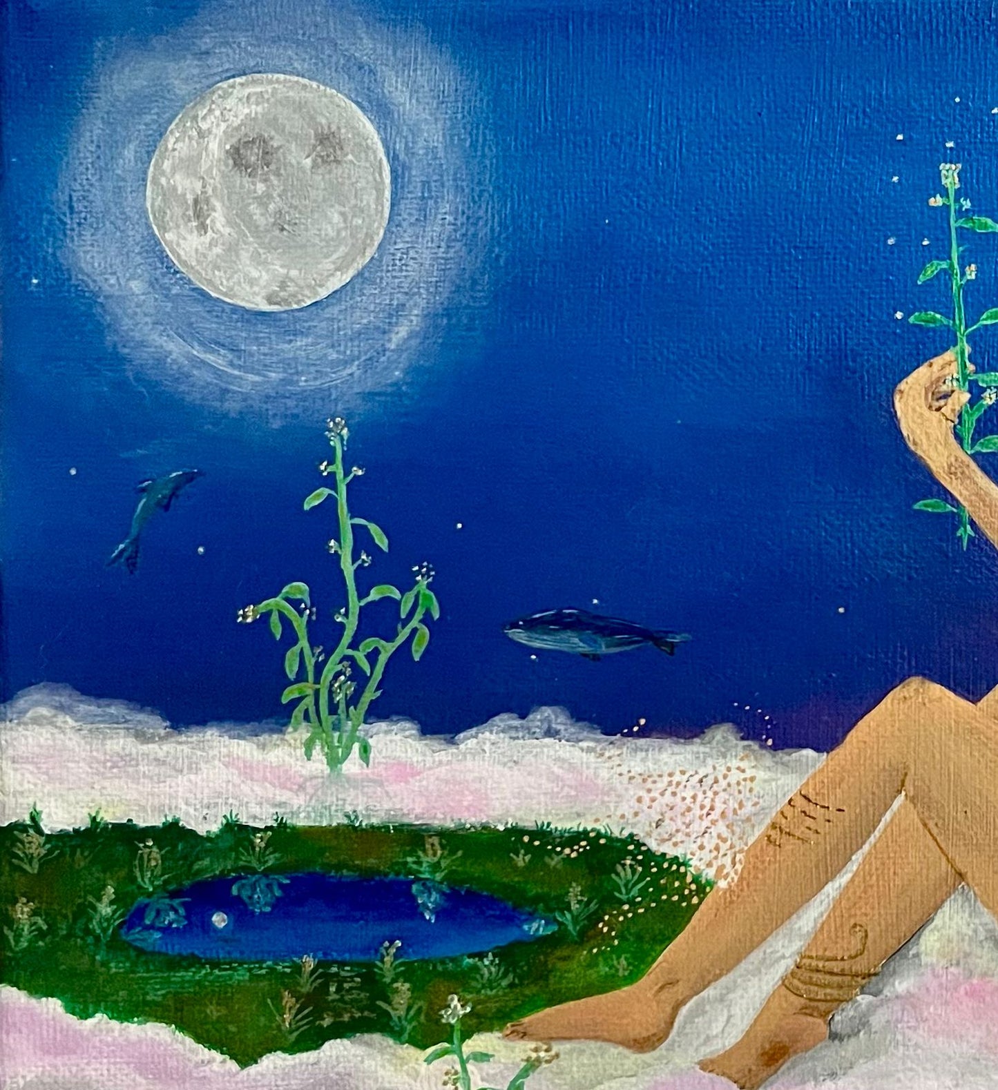 El Estanque de Salvias Blancas