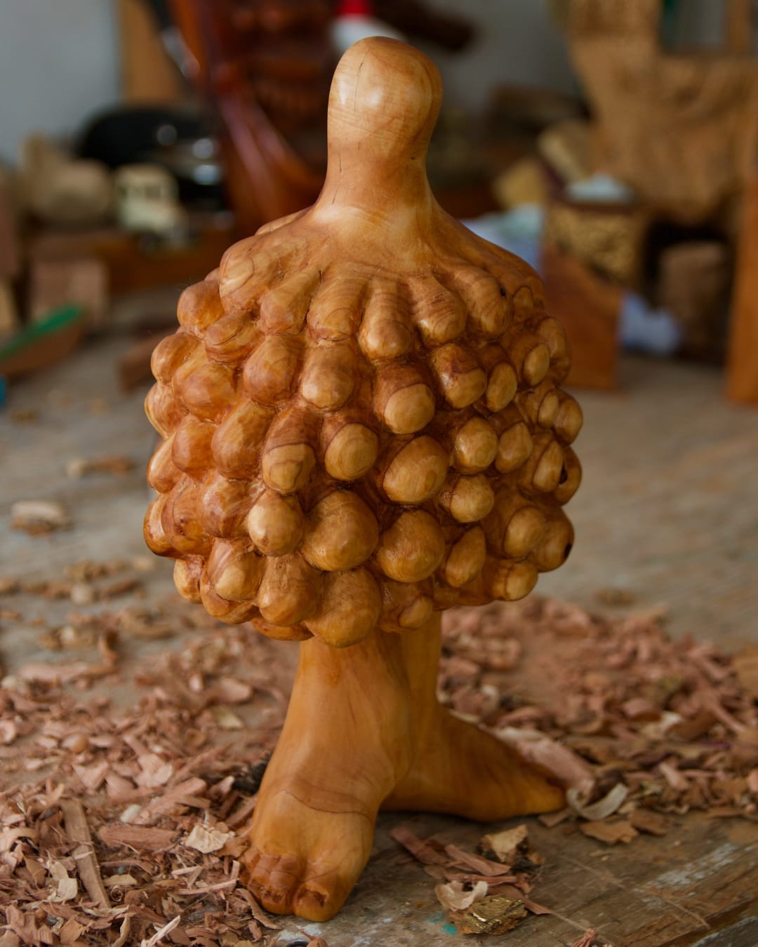 Crecimiento nodal (Mi primera Venus)