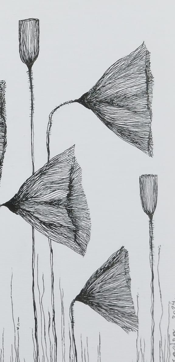 Amapolas