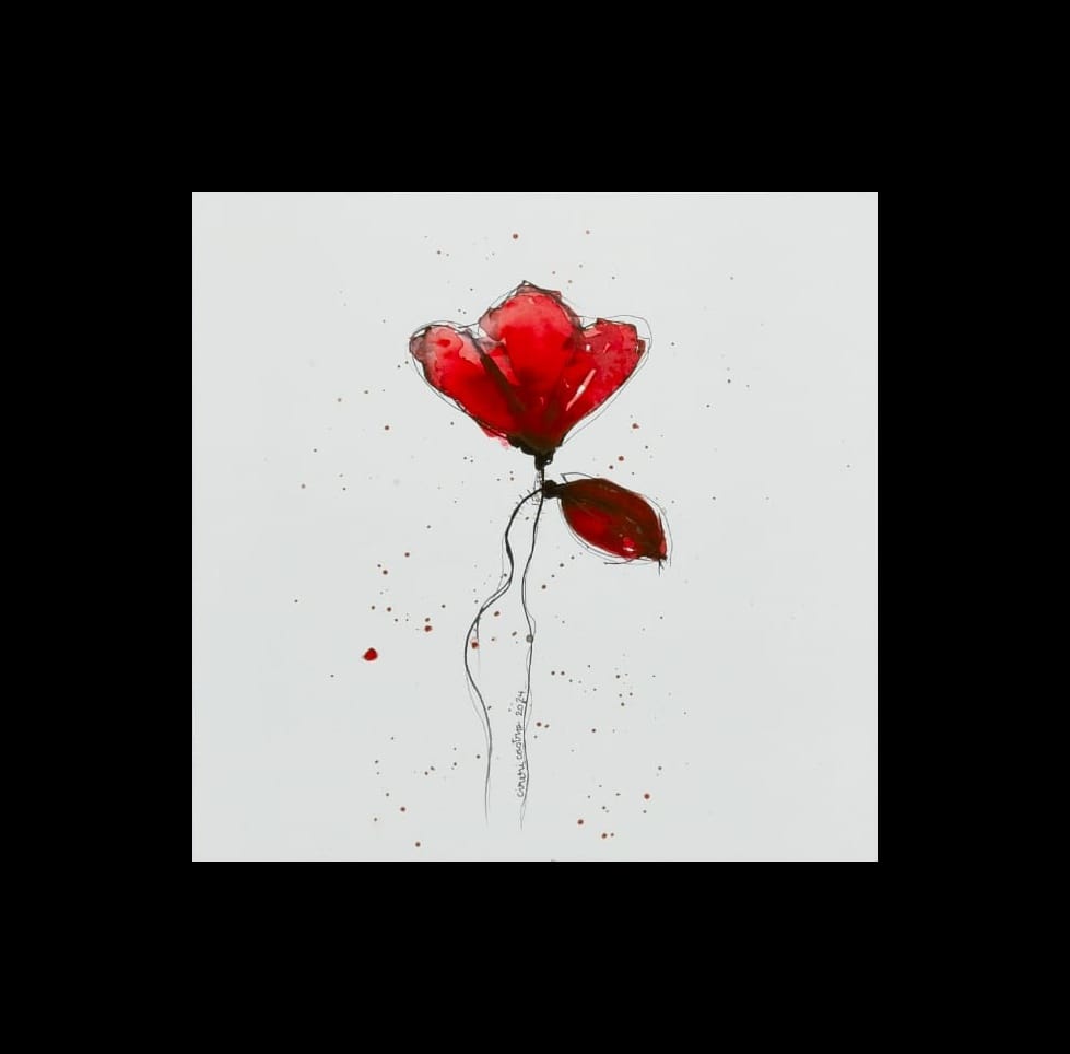 amapolas 9