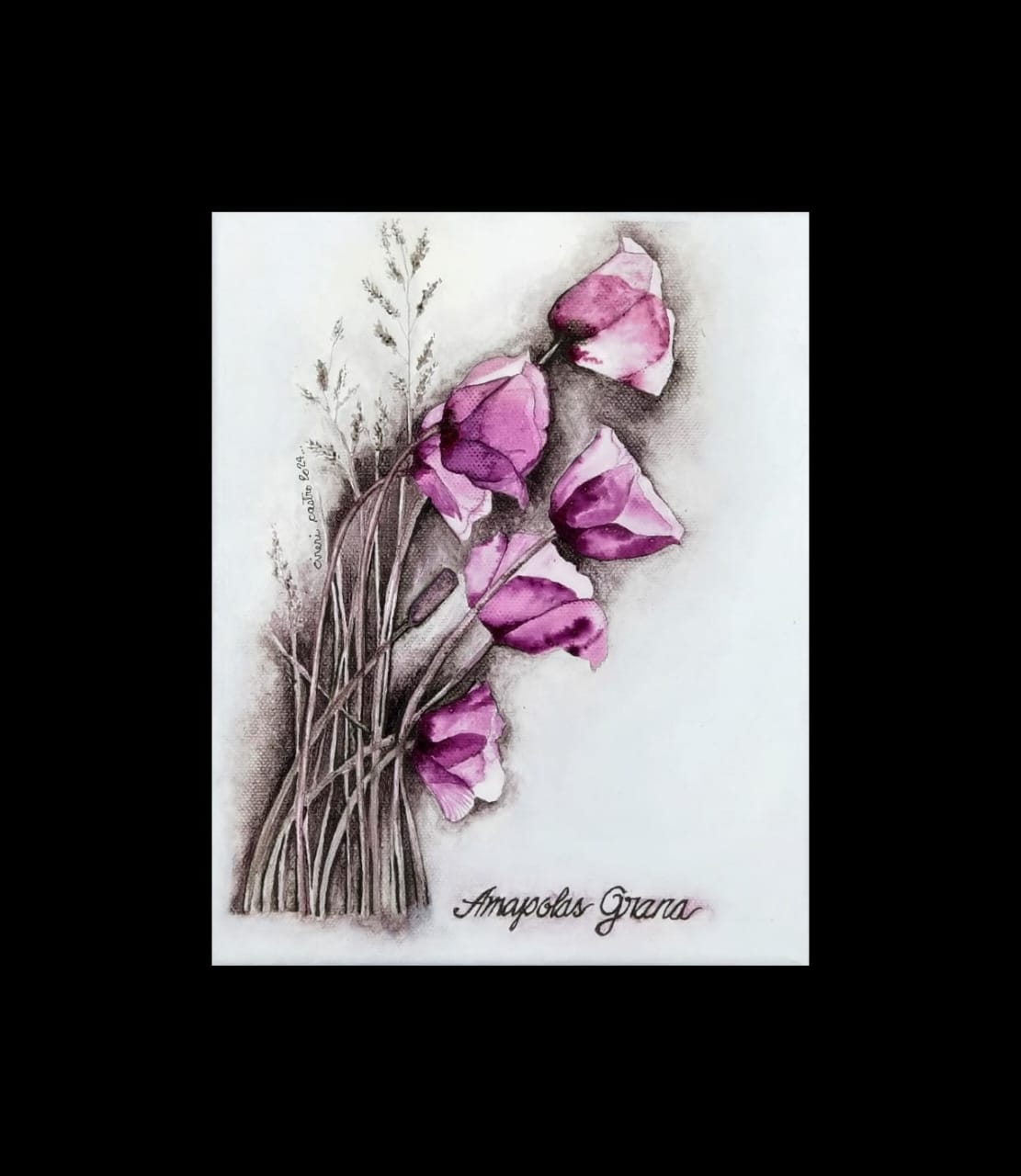 Amapolas Grana
