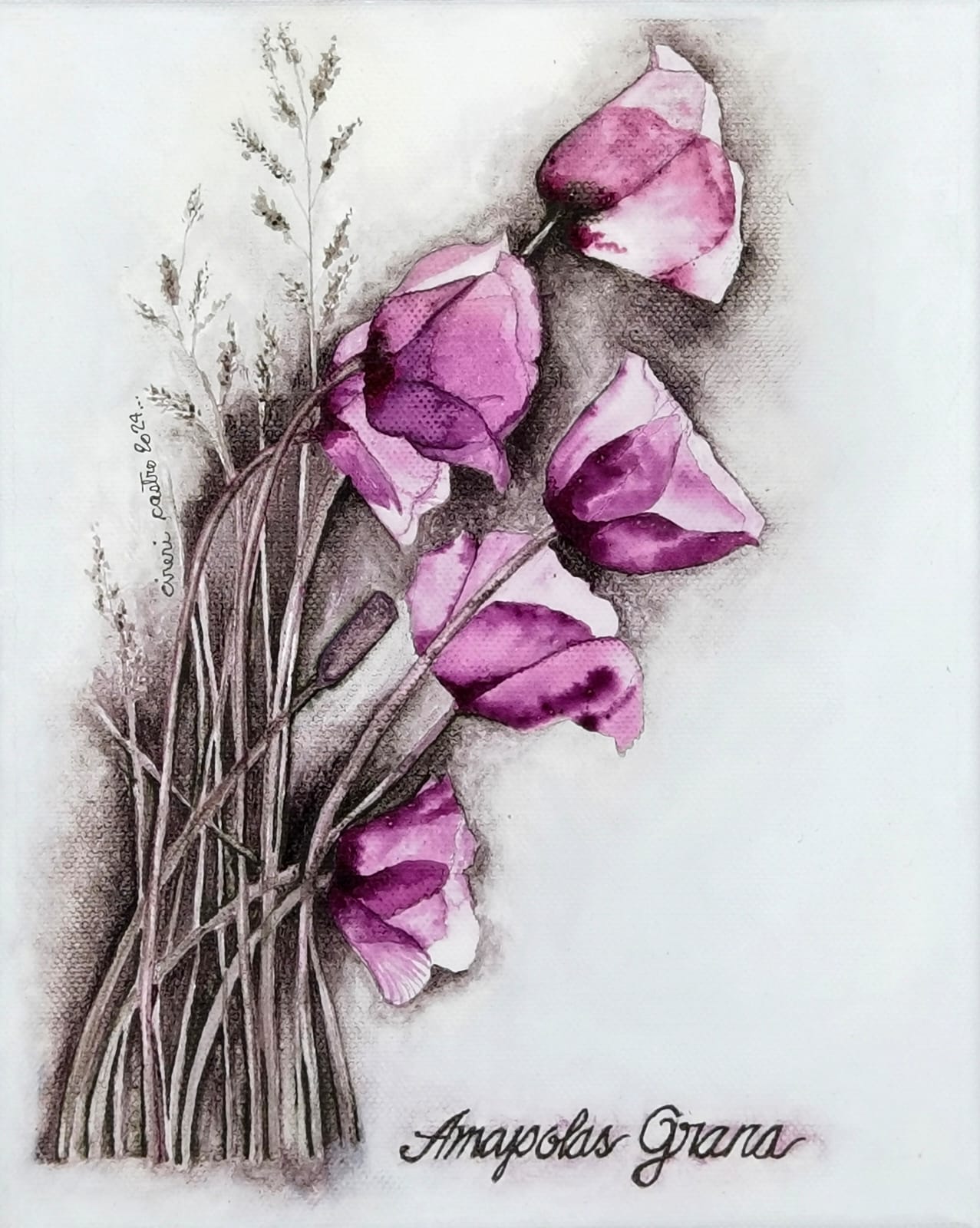 Amapolas Grana