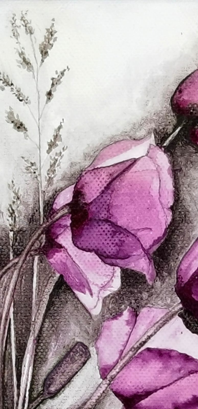 Amapolas Grana