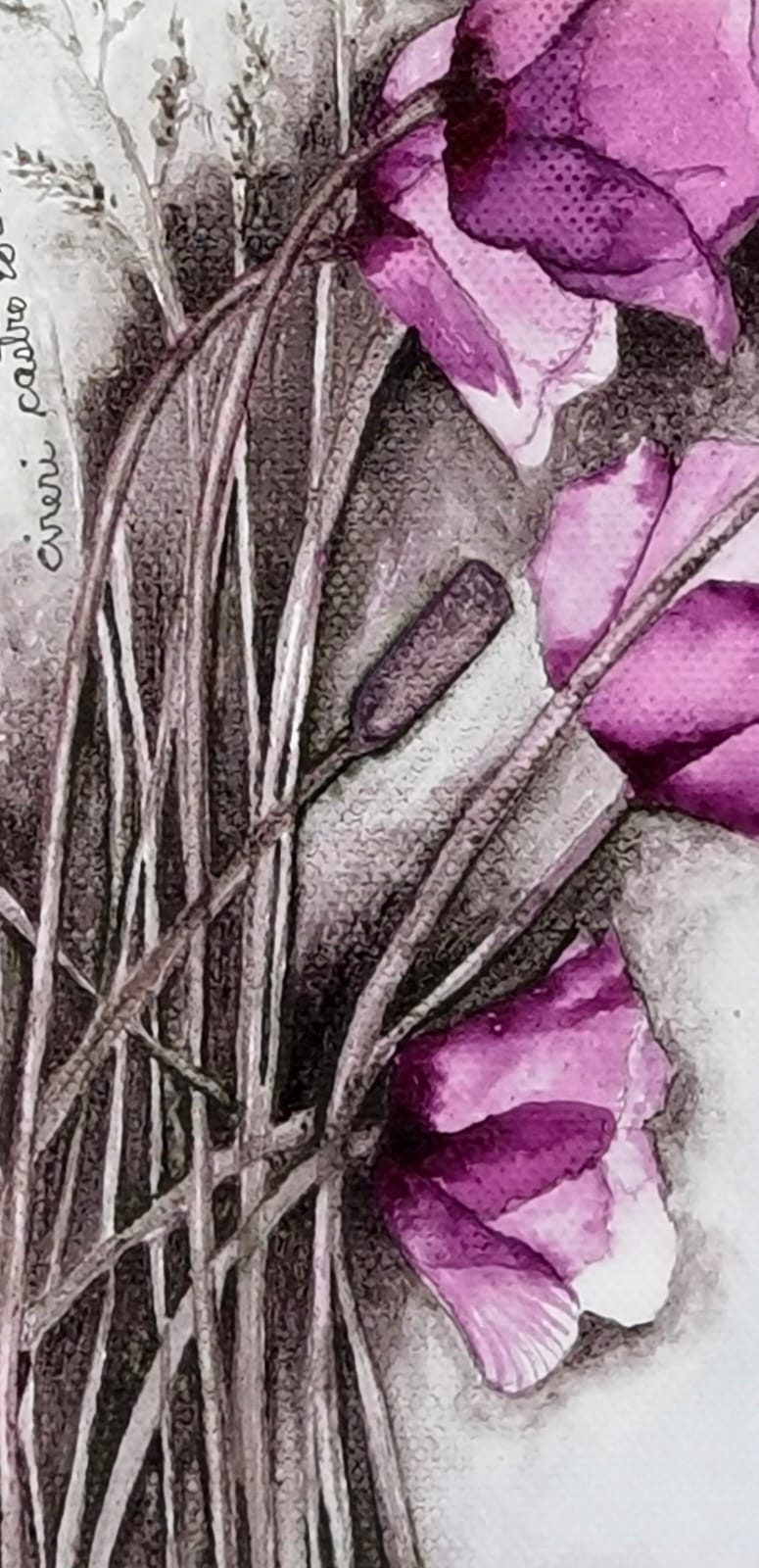 Amapolas Grana