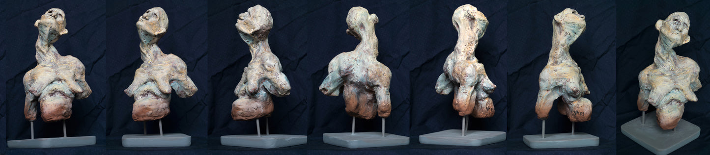 Una desconocida del asilo