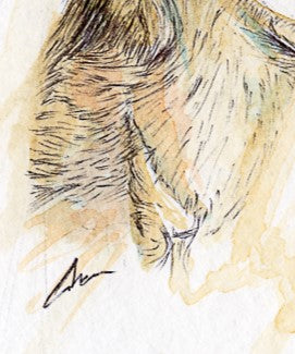 Arte gráfico contemporáneo -Chivito