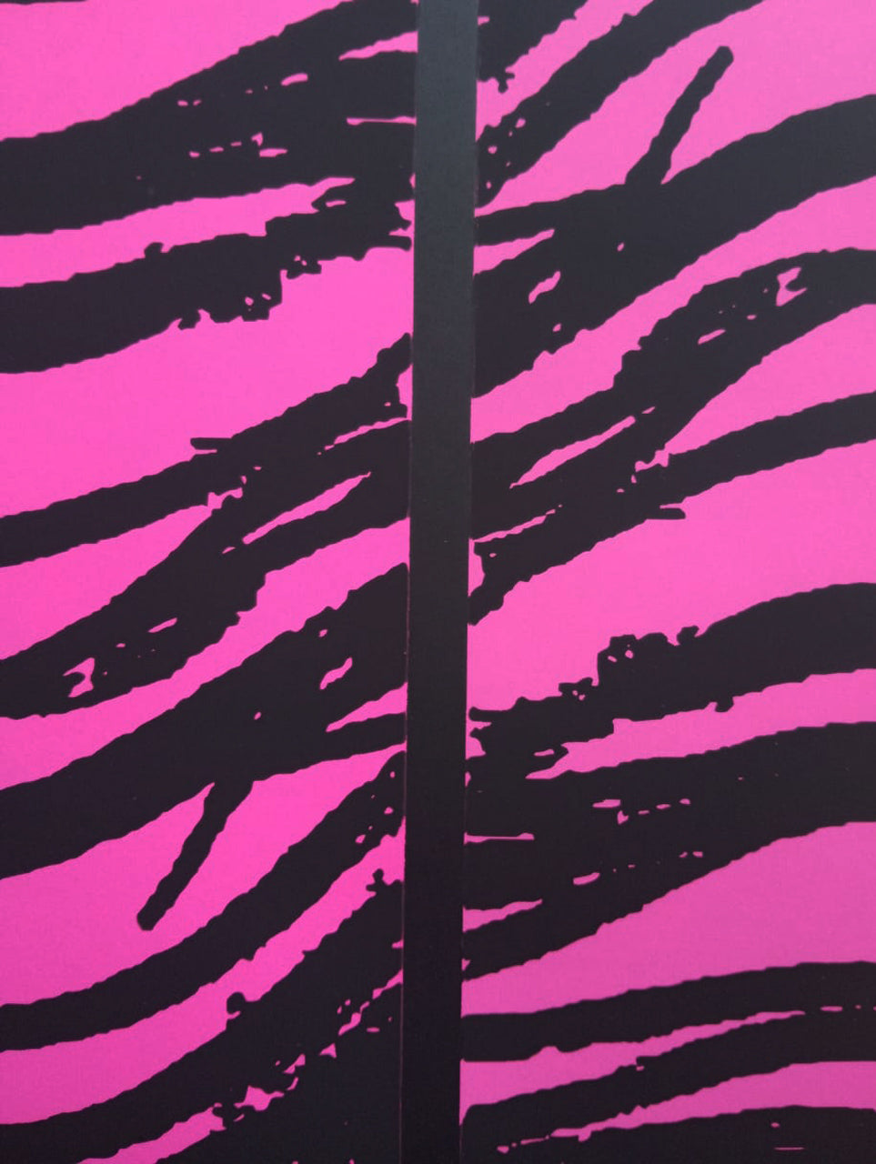 Sin titulo (de flor de la pasión)