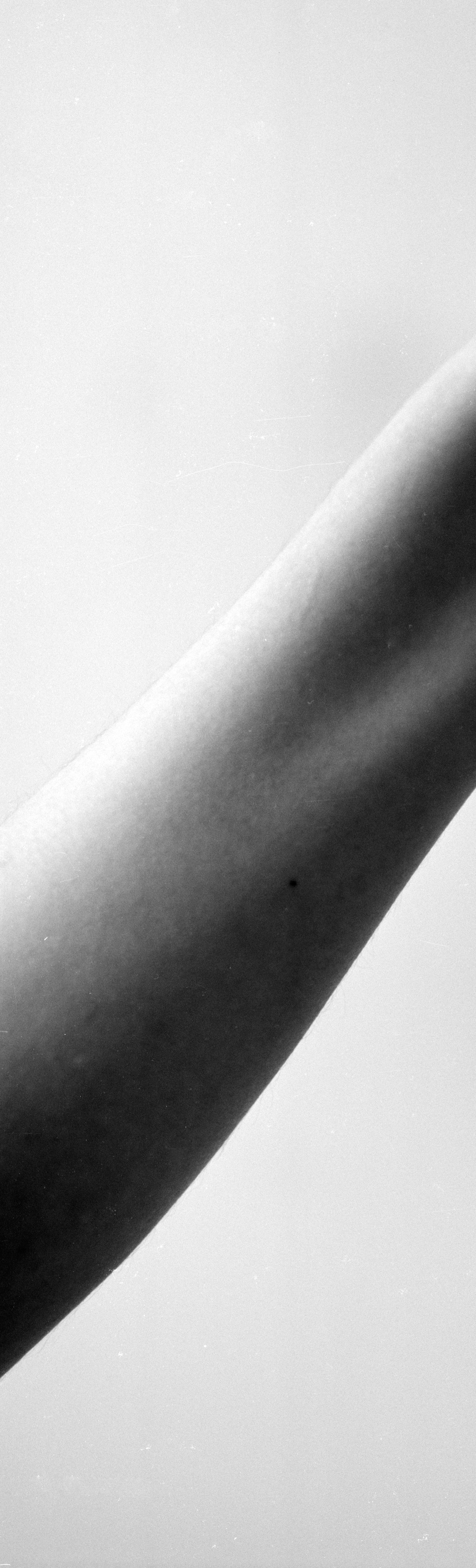 Autorretrato 03