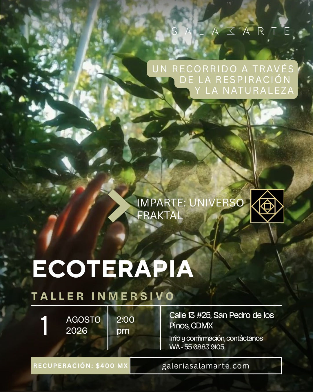 Clases de Meditacion CDMX | Ecoterapia en Sala Marte