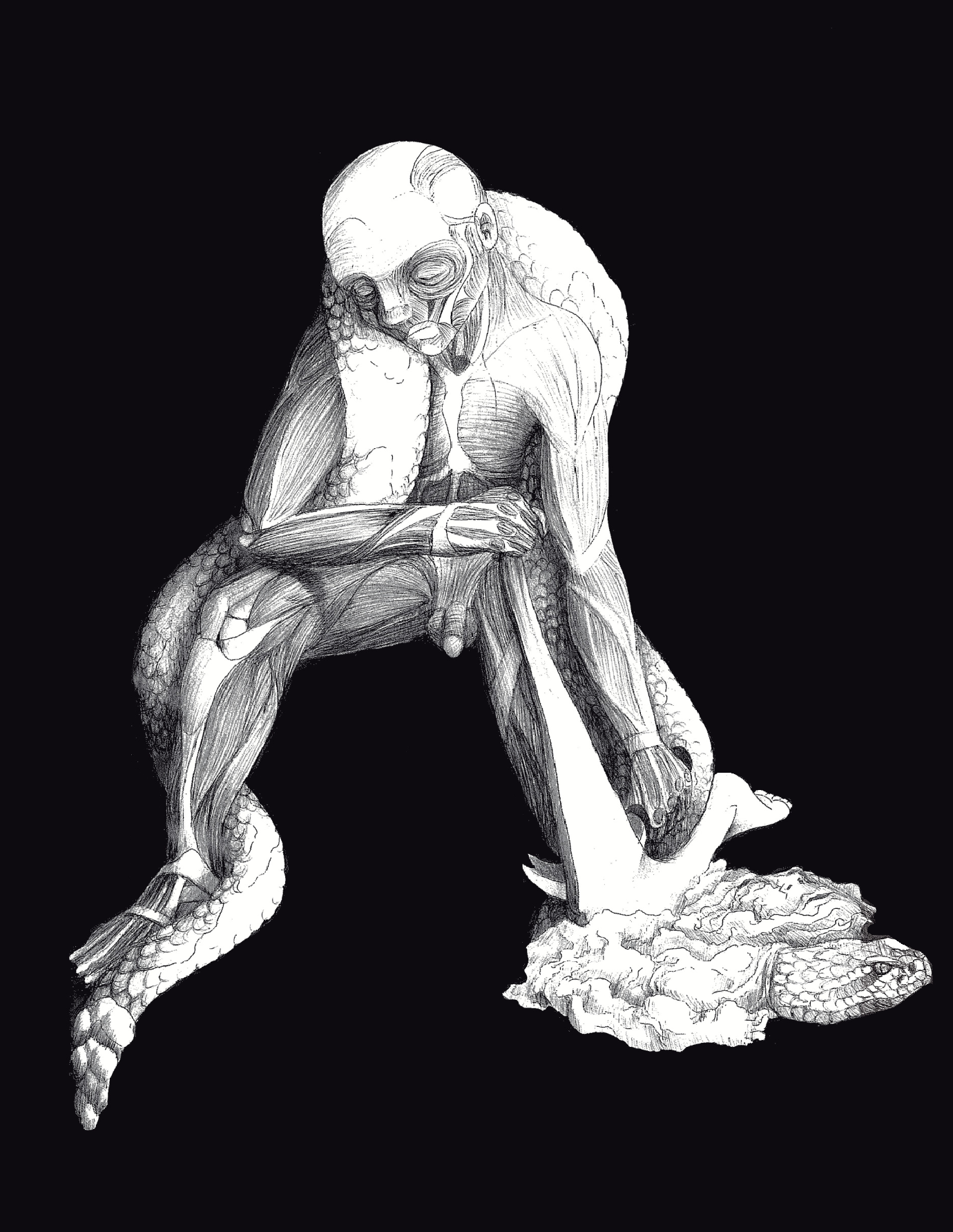 Anamorfosis I y III