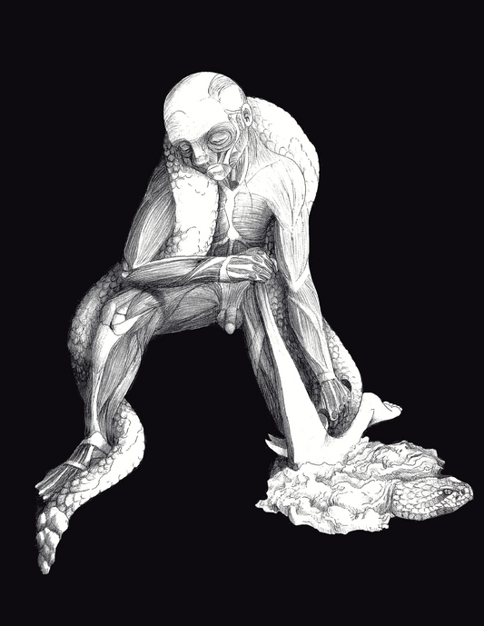 Anamorfosis I y III