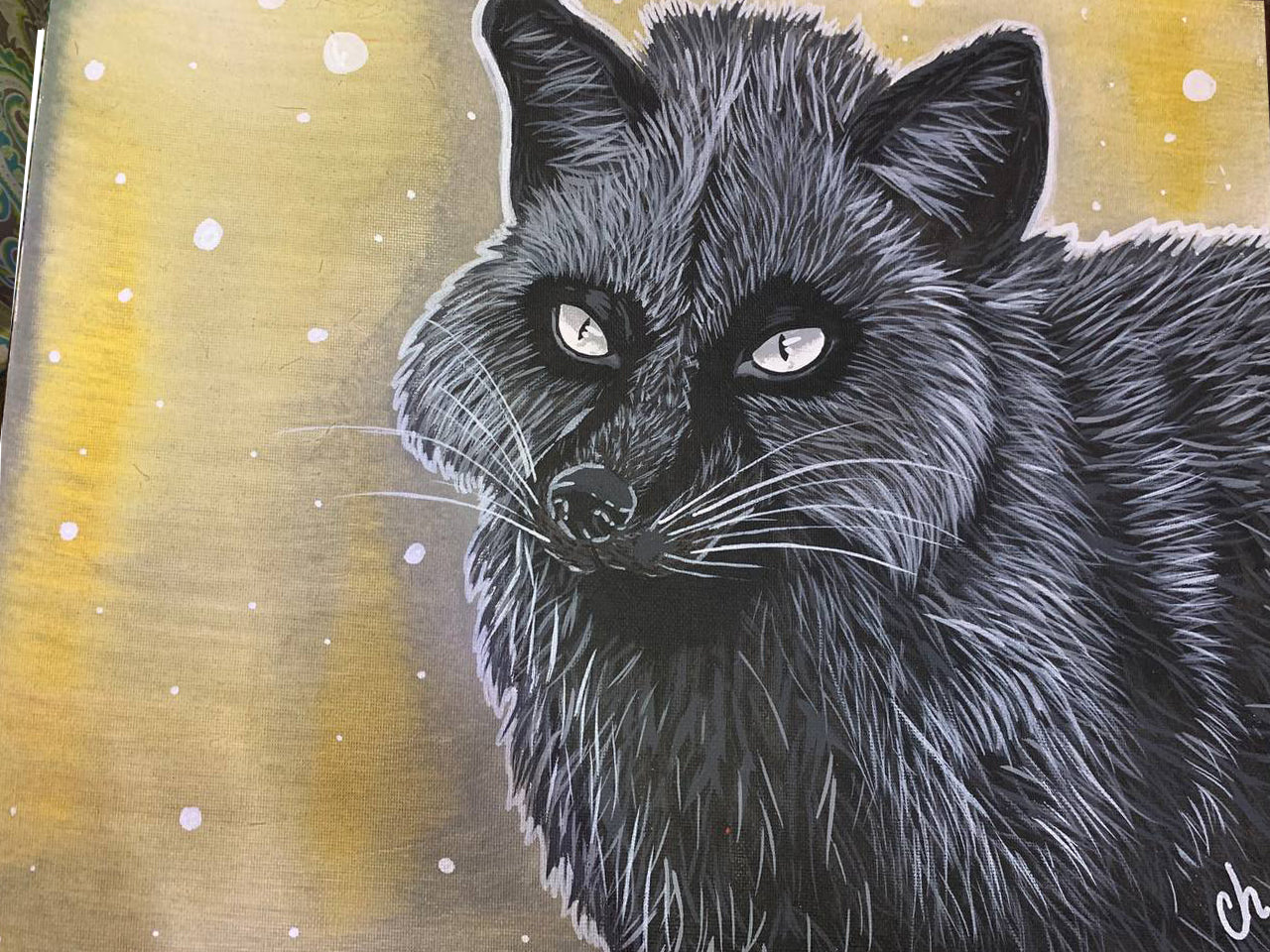 Zorro negro