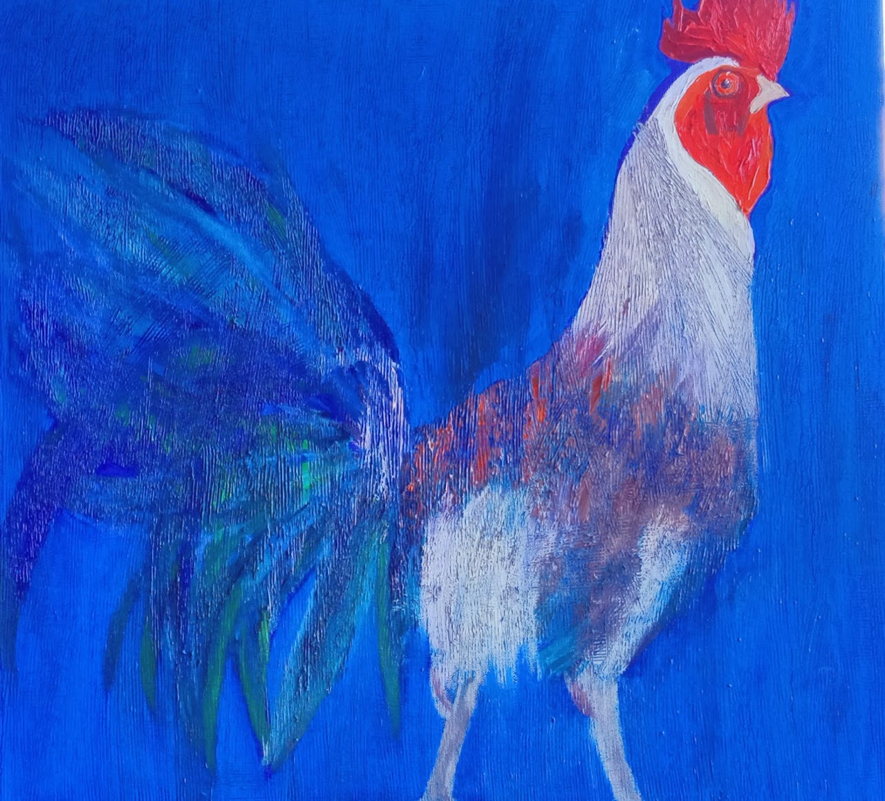 Gallo Azul