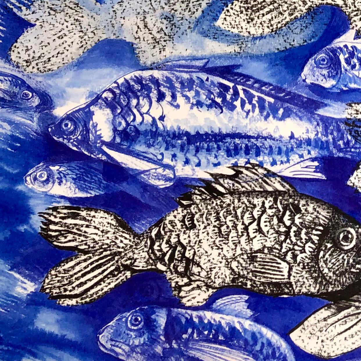 Conversando con peces III