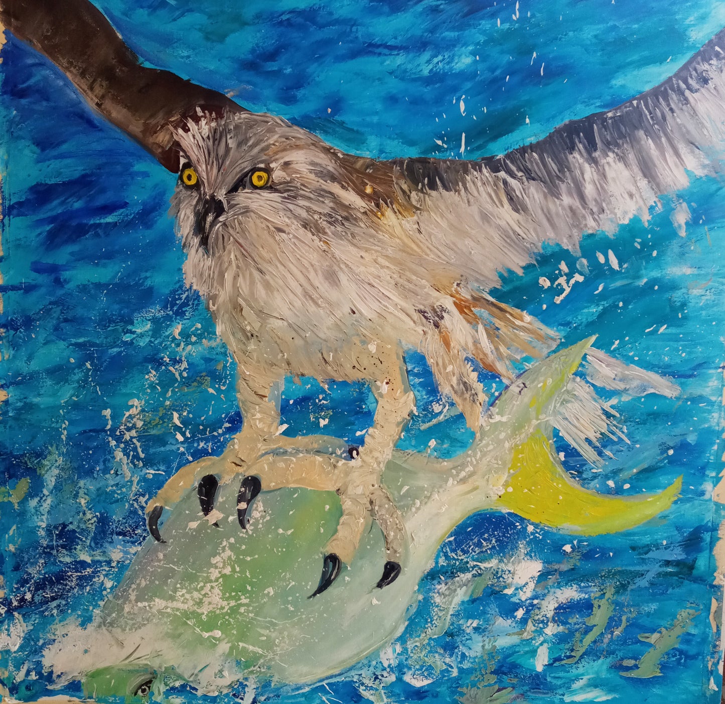 Águila pescadora