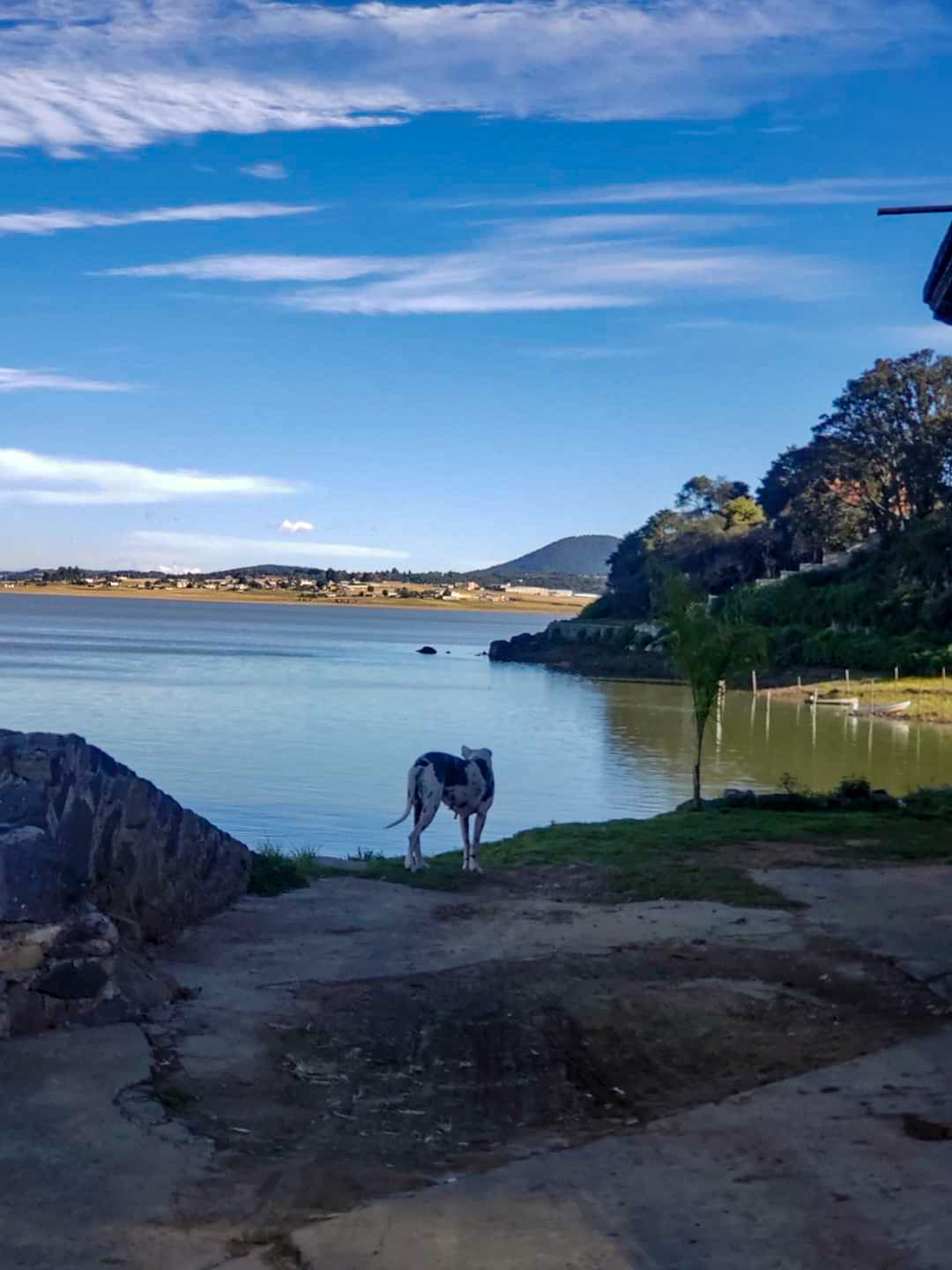 la presa