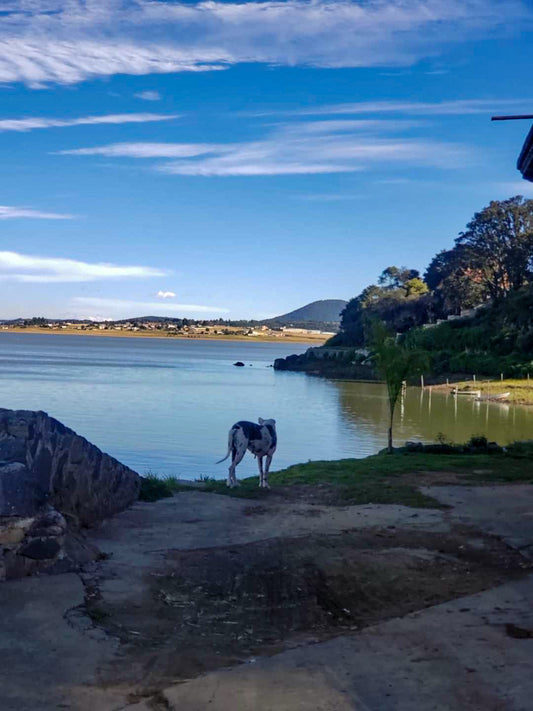 la presa