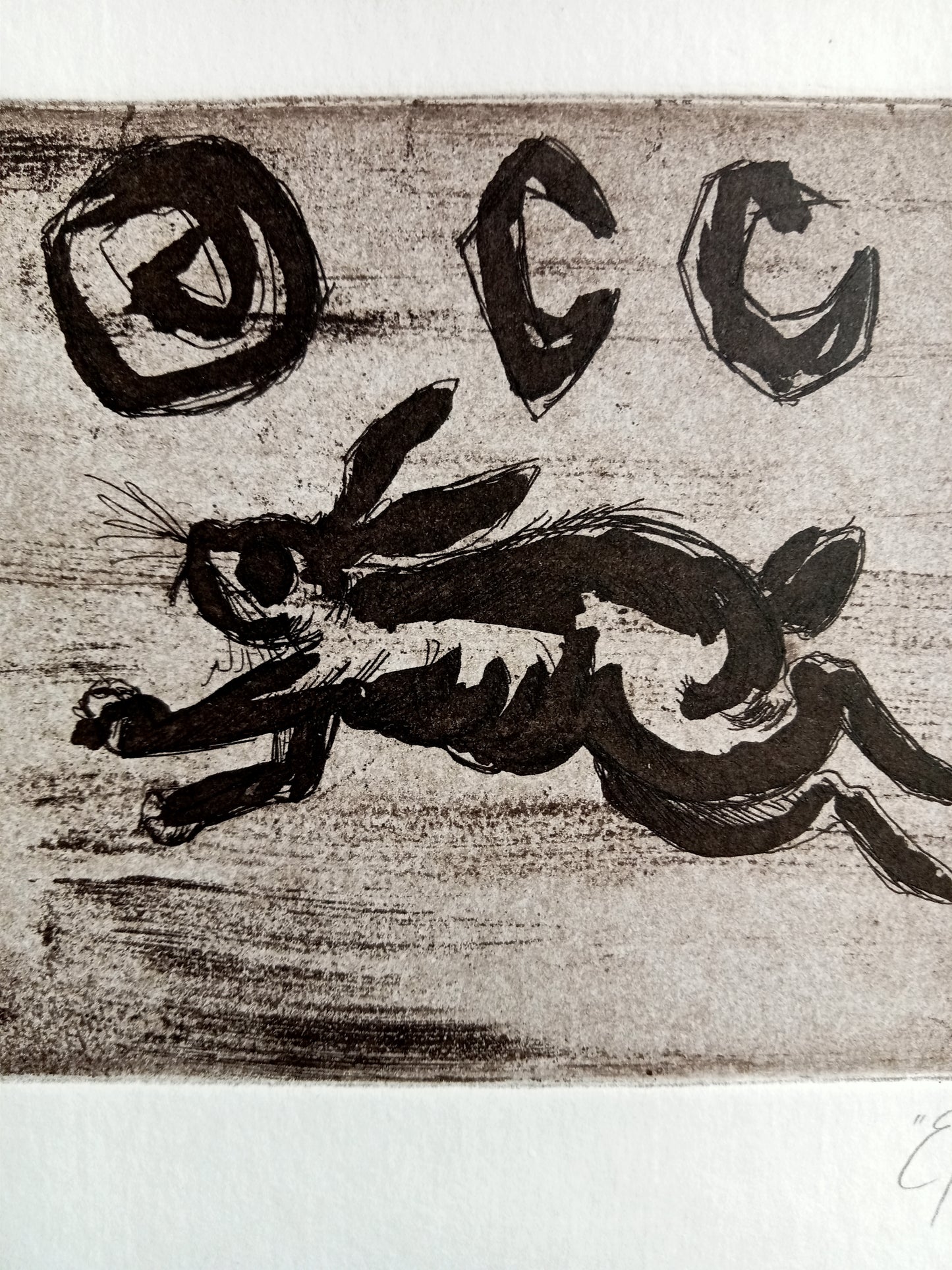 El Coyote y La Liebre