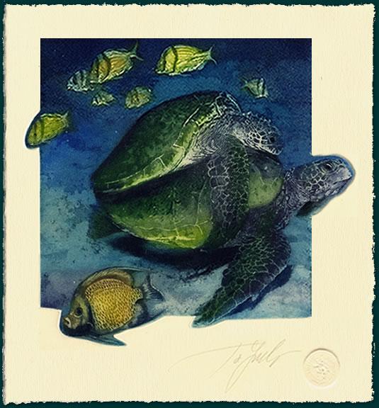 Tortugas