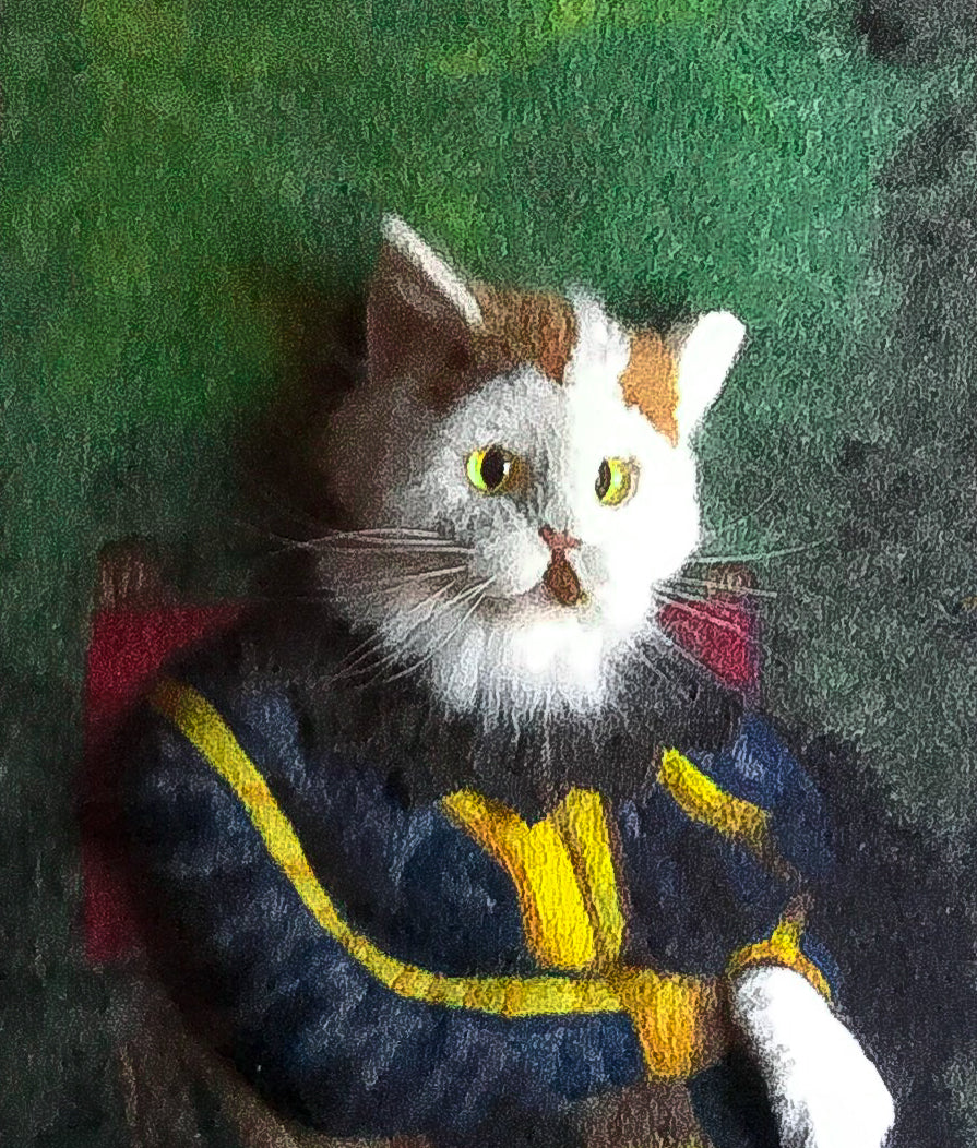Lord Kitty