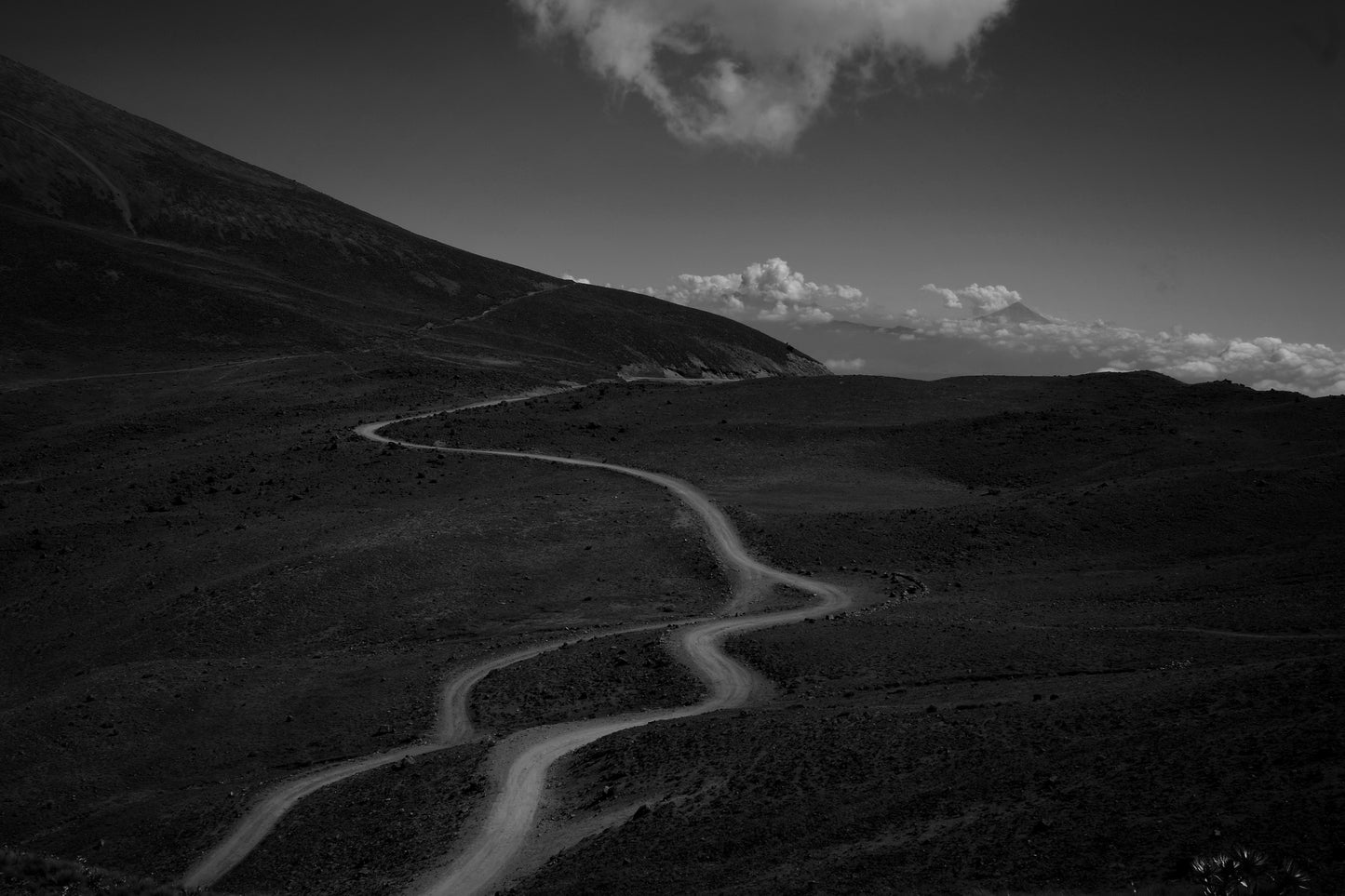 Paisaje Anónimo 4