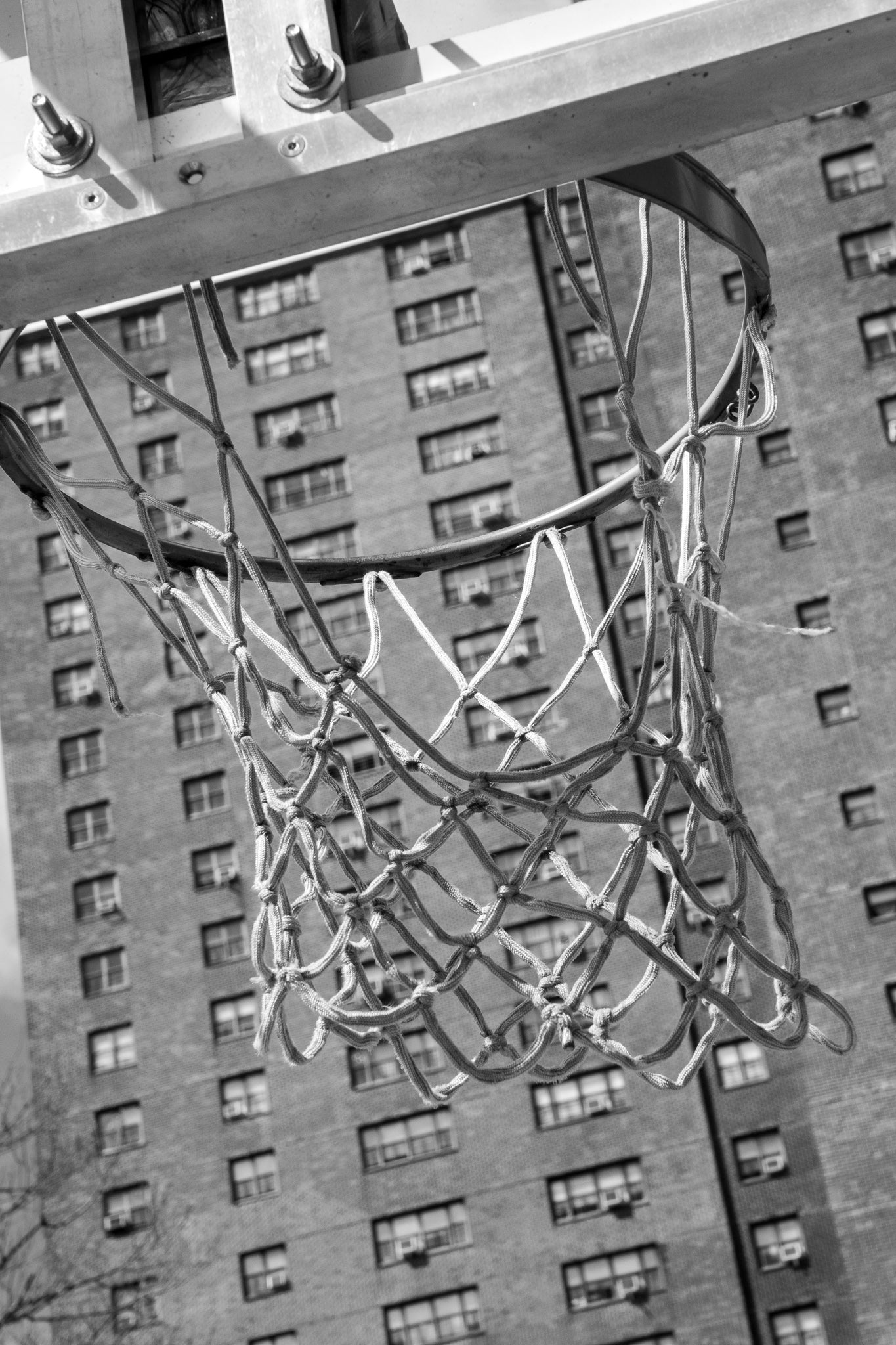 The Harlem