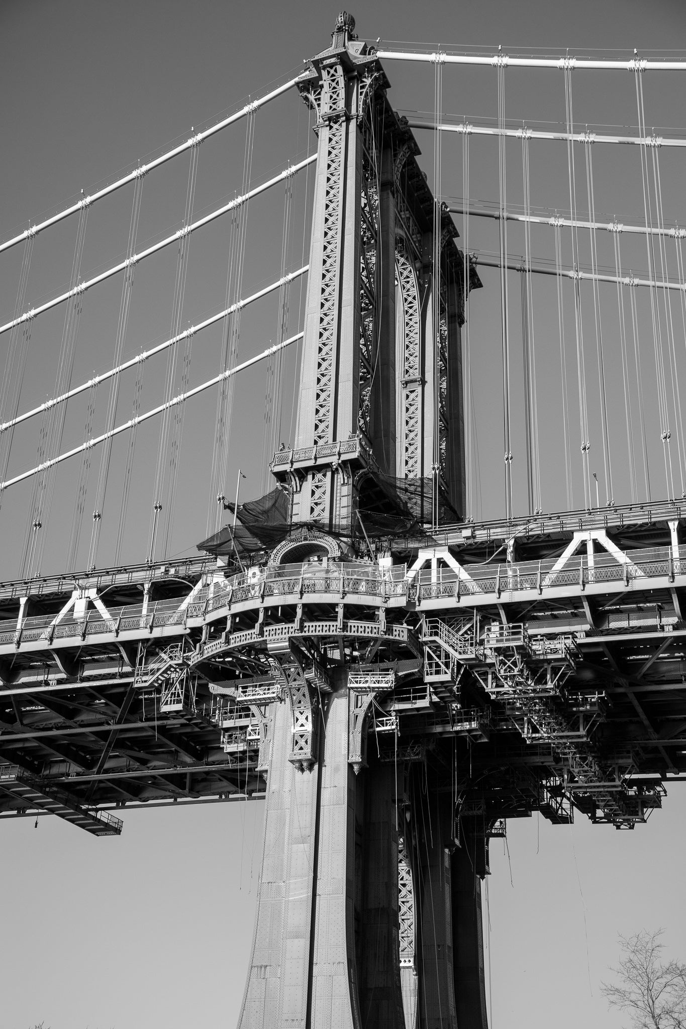 New York Pandemic