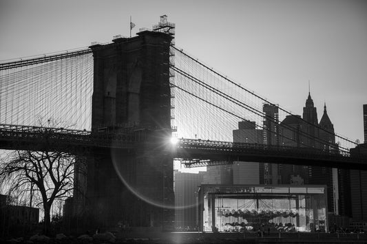 Brooklyn sun
