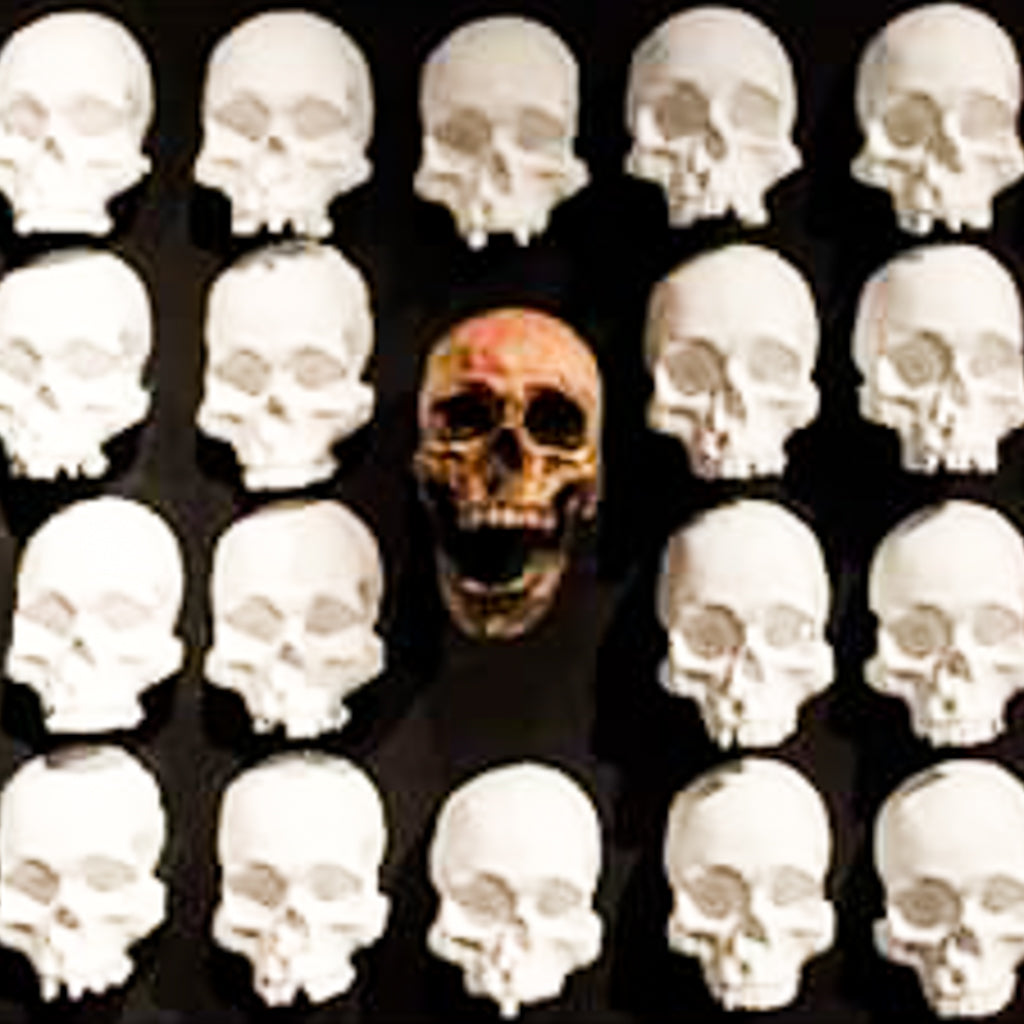 Tzompantli a la memoria mexicana